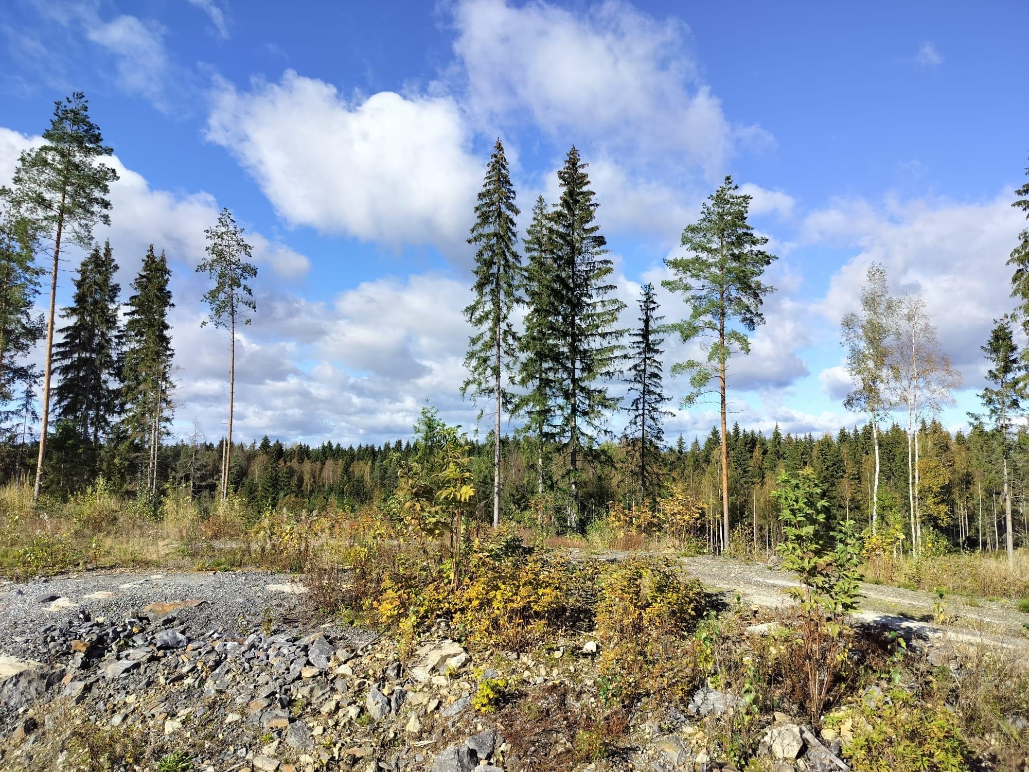 Kohdekuva 3