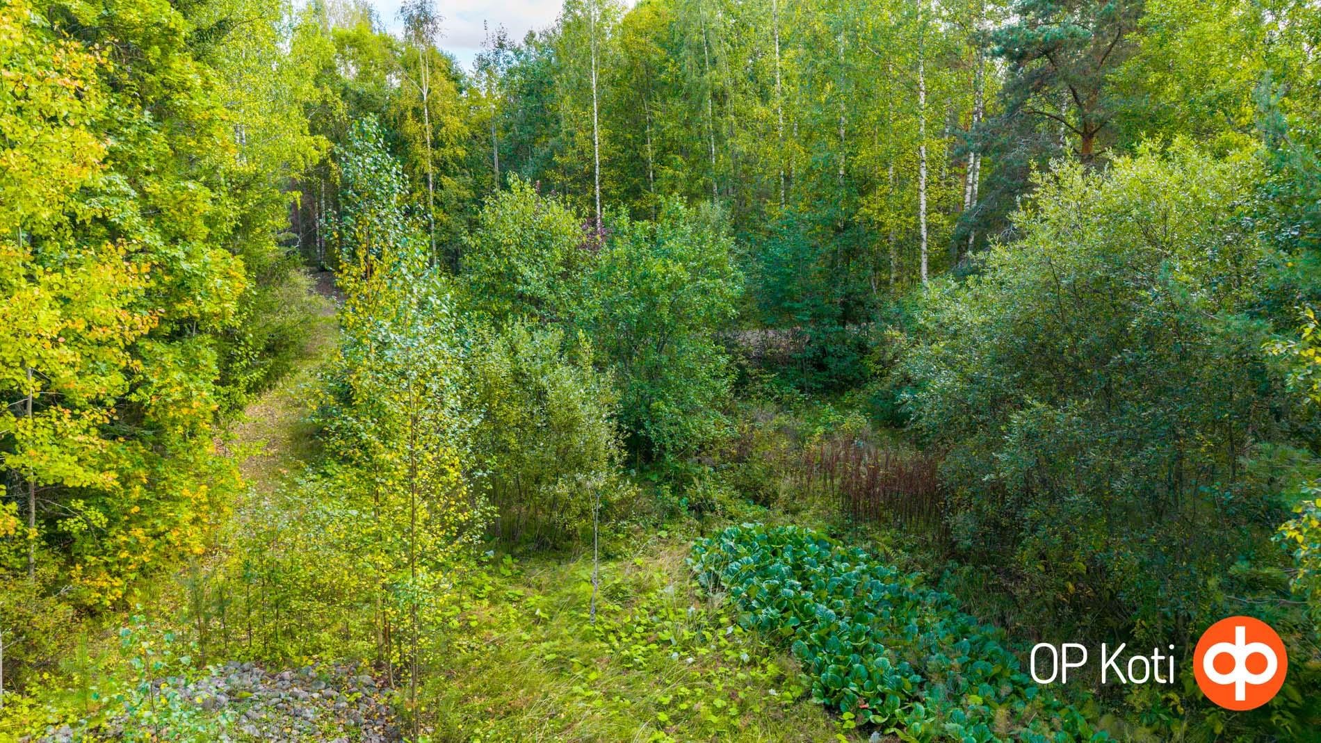 Kohdekuva 33