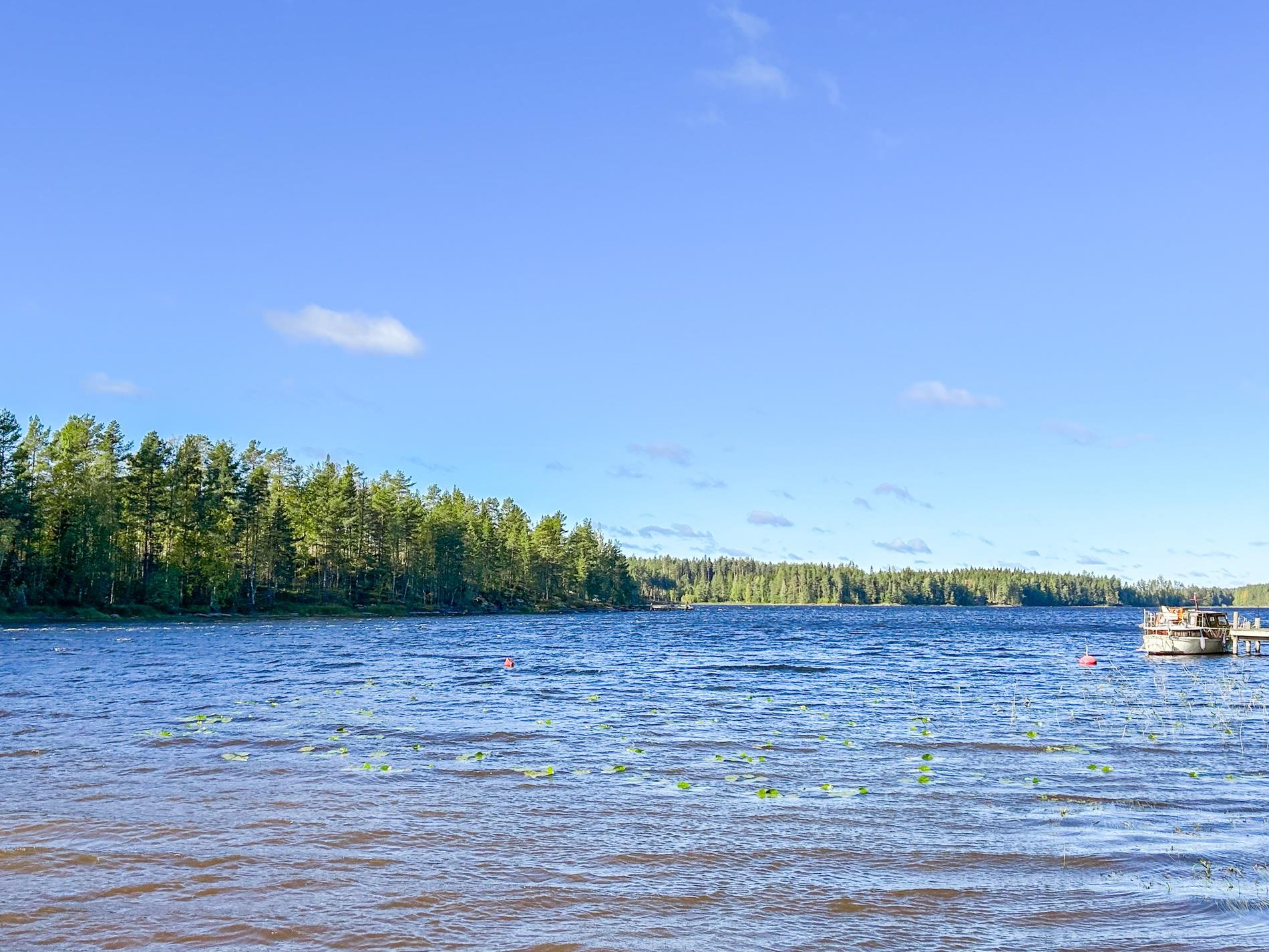 Kohdekuva 15