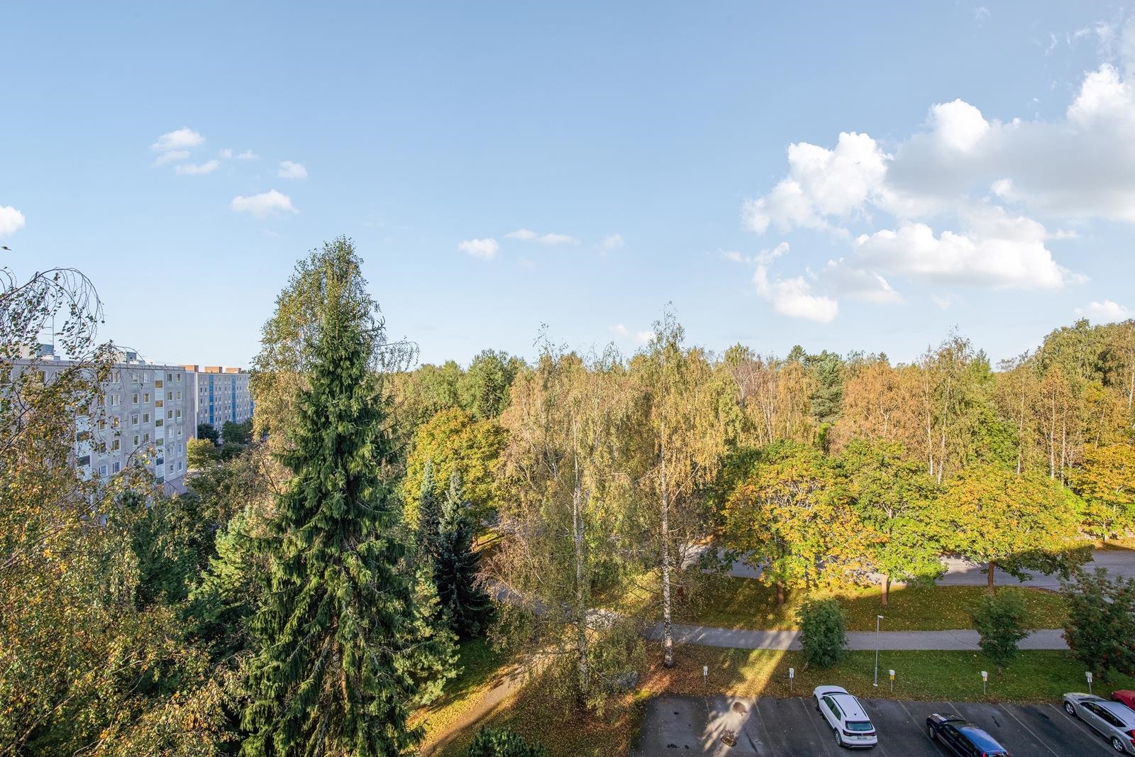 Kohdekuva 15