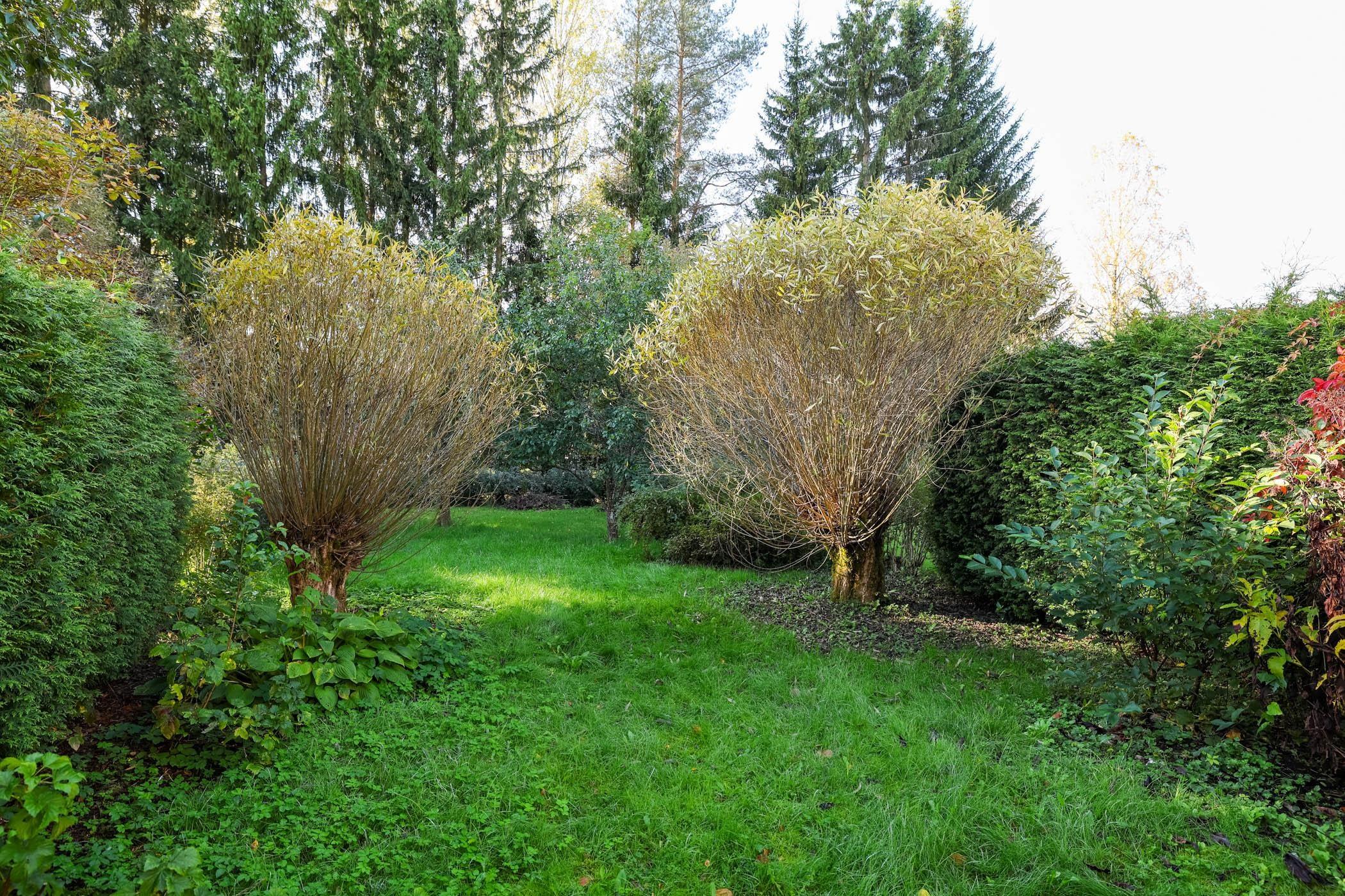 Kohdekuva 30