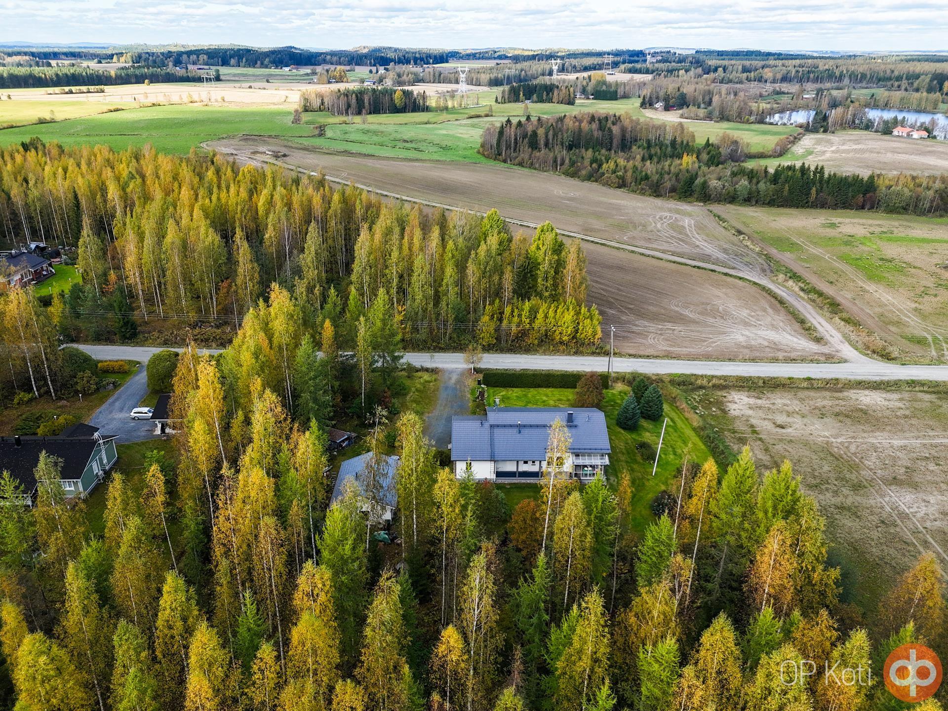 Kohdekuva 41