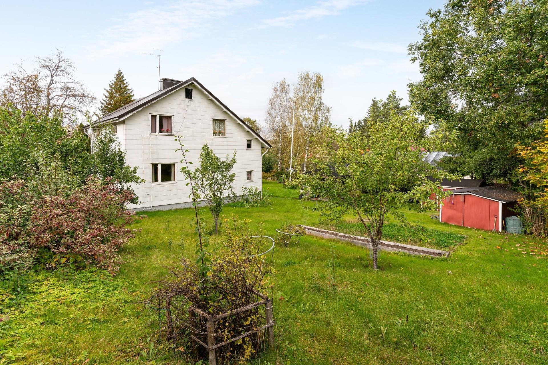 Kohdekuva 1