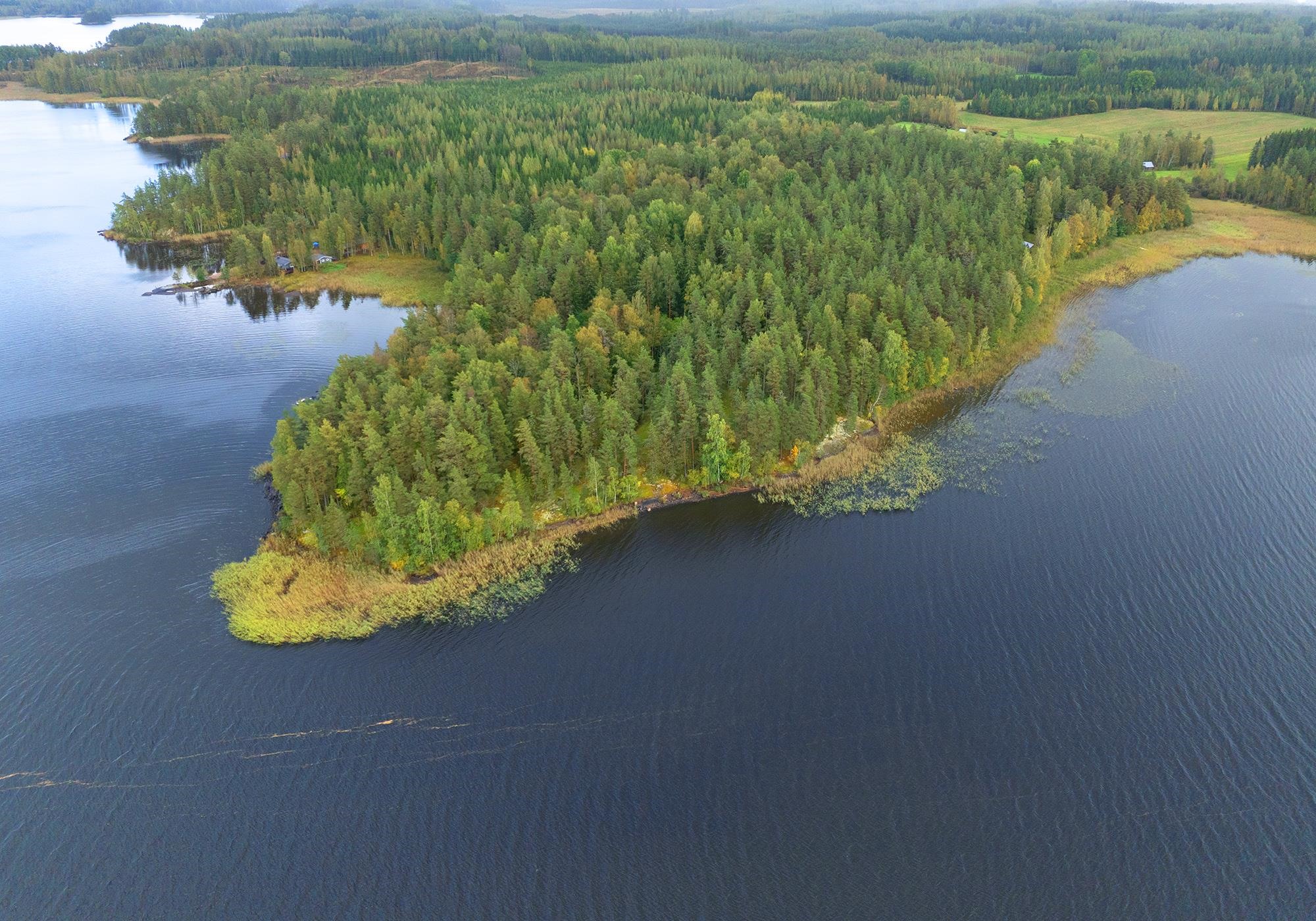 Kohdekuva 2