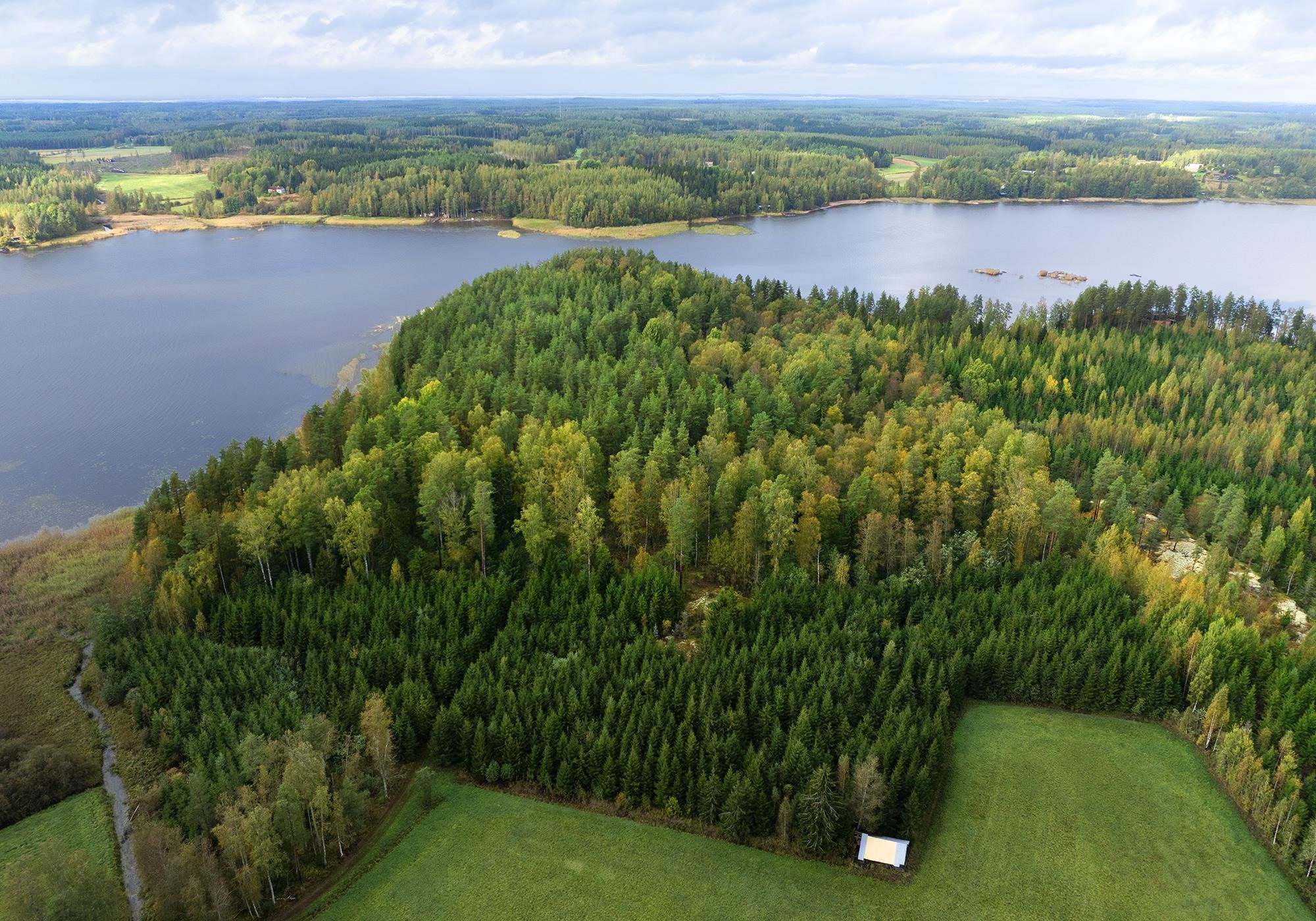 Kohdekuva 4