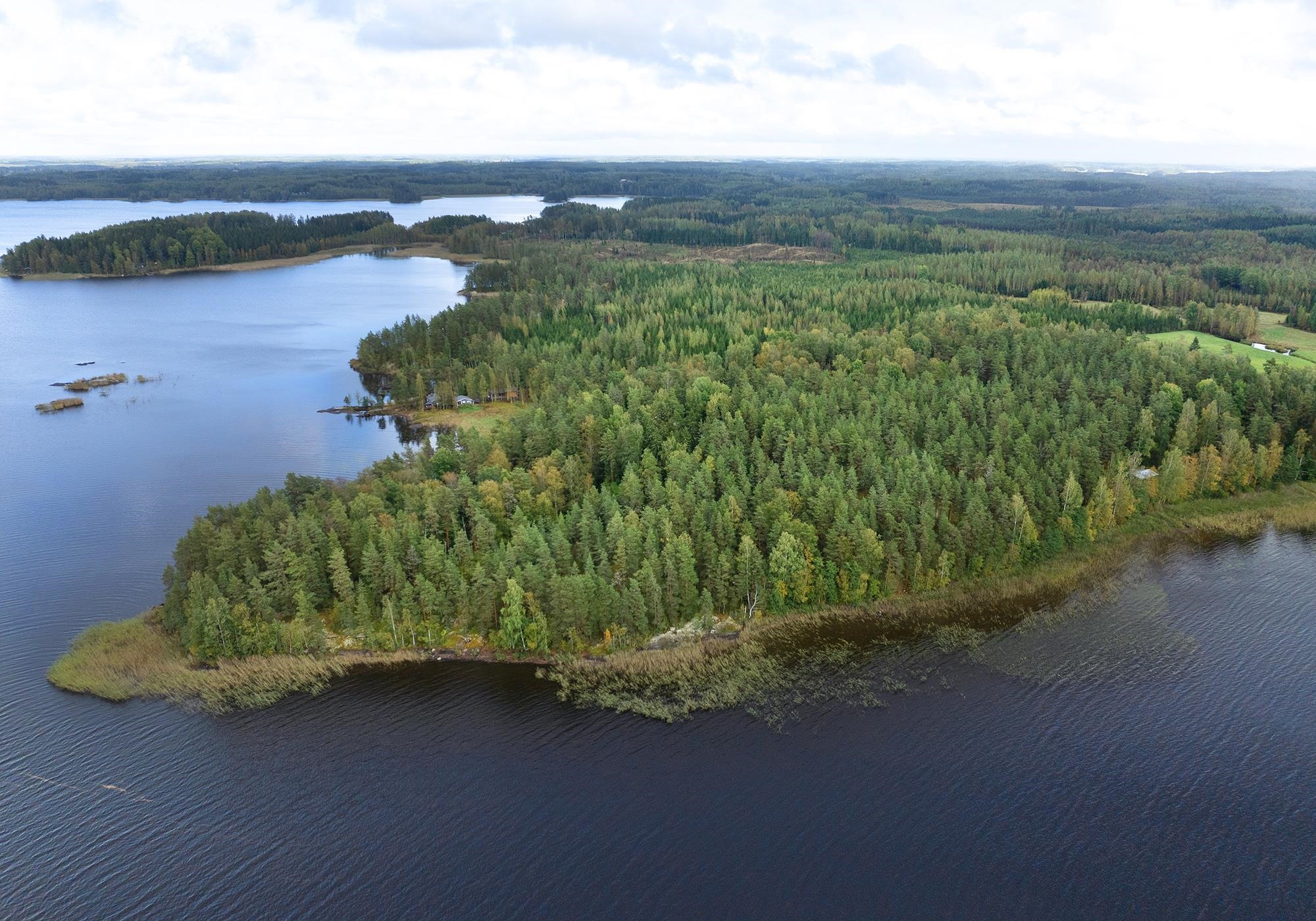 Kohdekuva 1