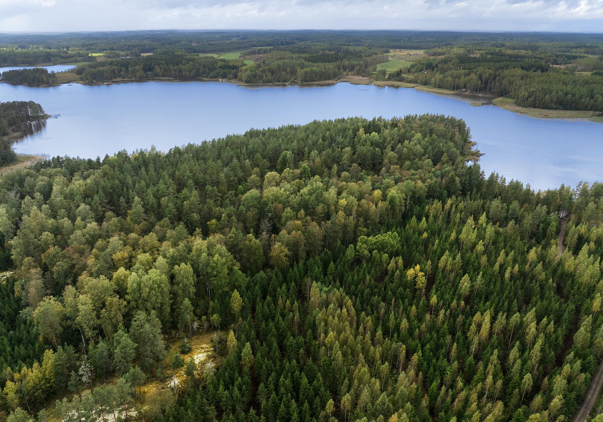 Kohdekuva 3