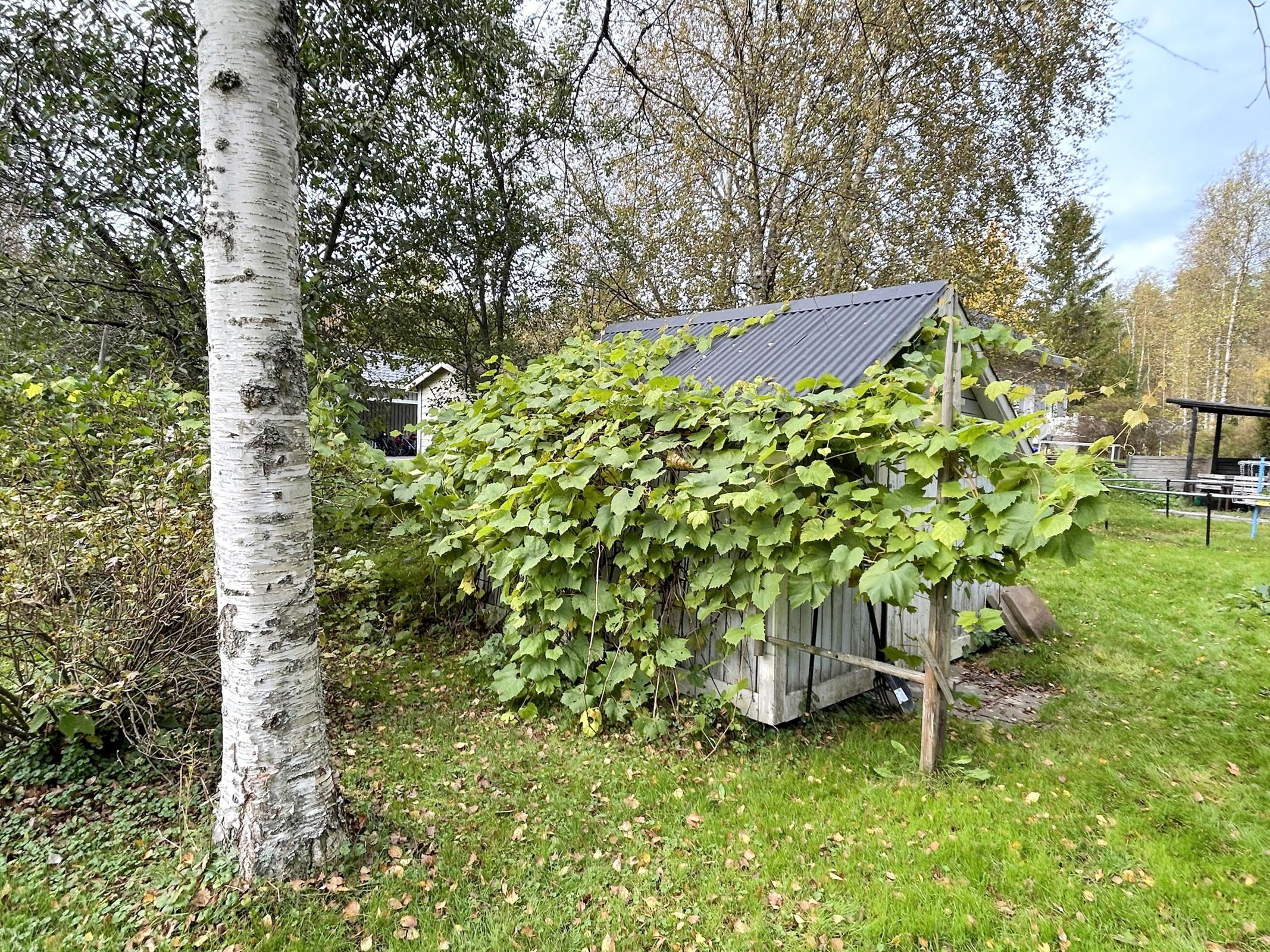 Kohdekuva 37