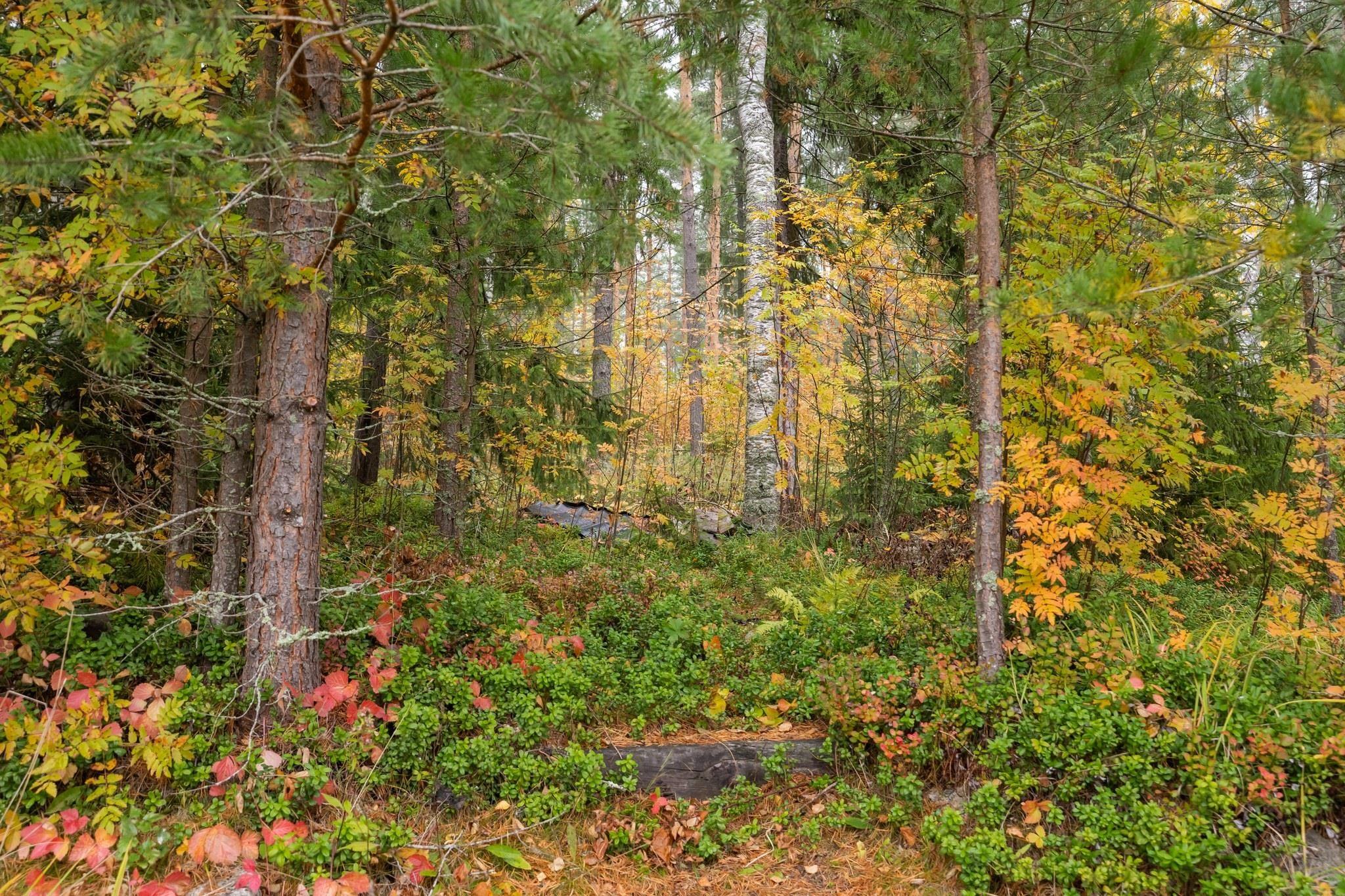 Kohdekuva 38