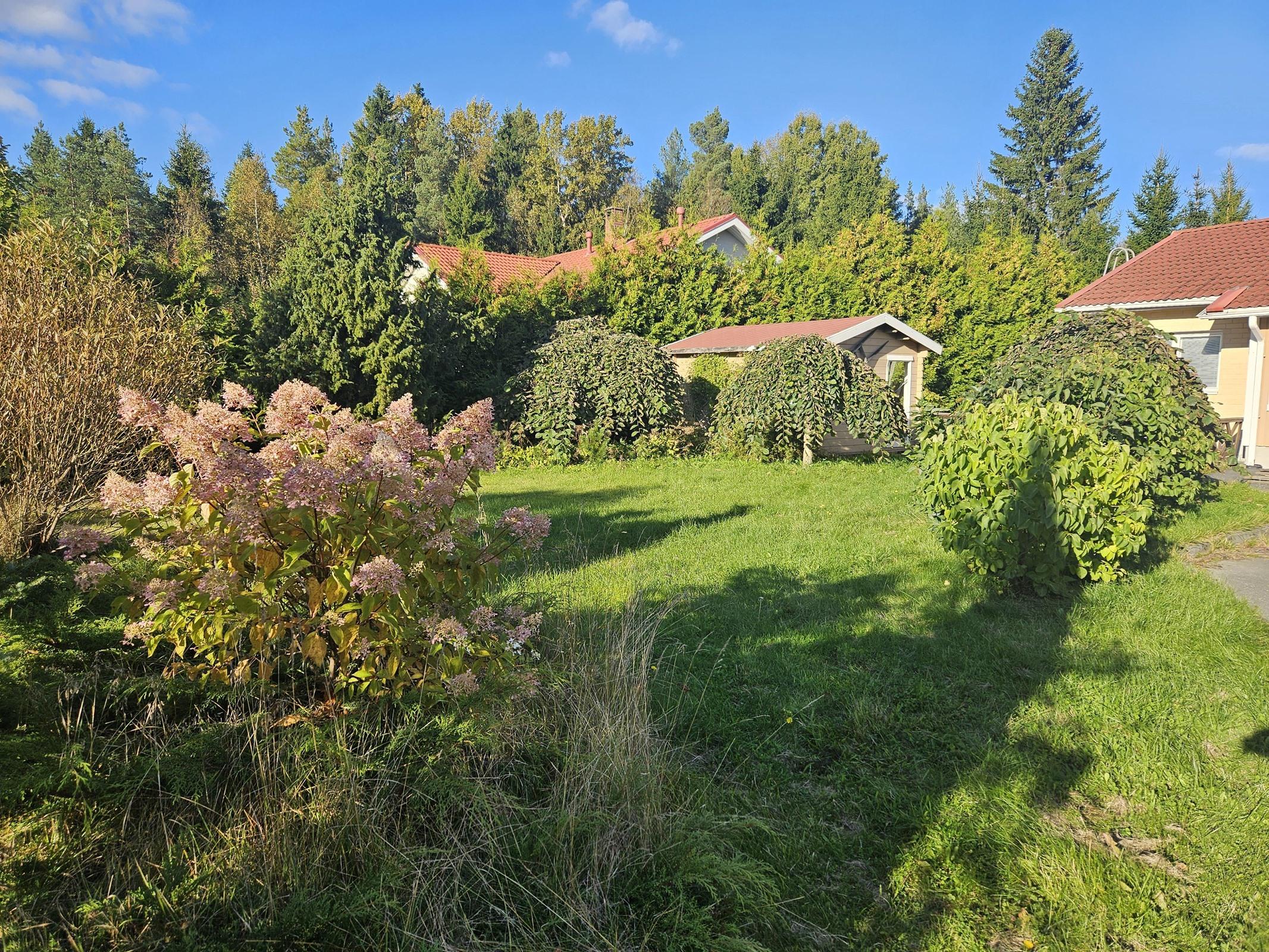 Kohdekuva 18
