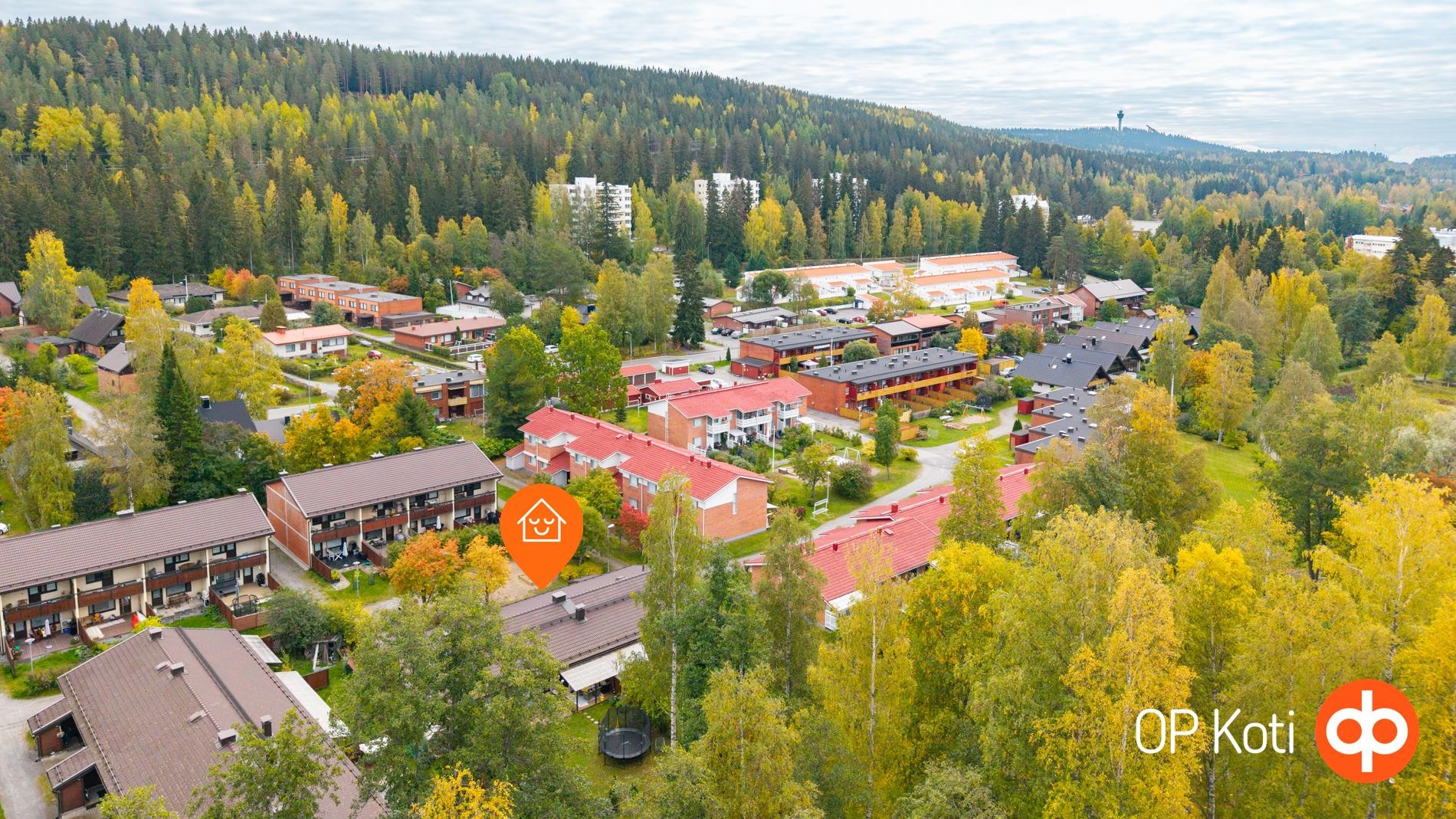 Kohdekuva 31