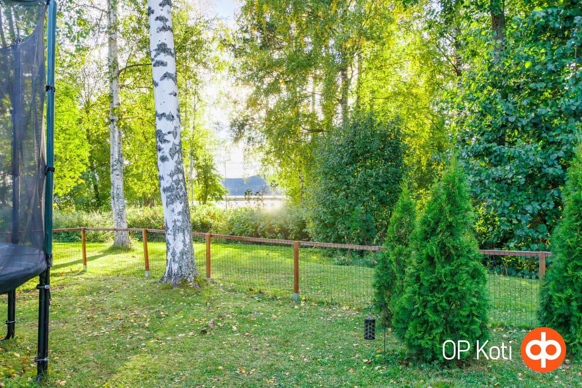 Kohdekuva 25