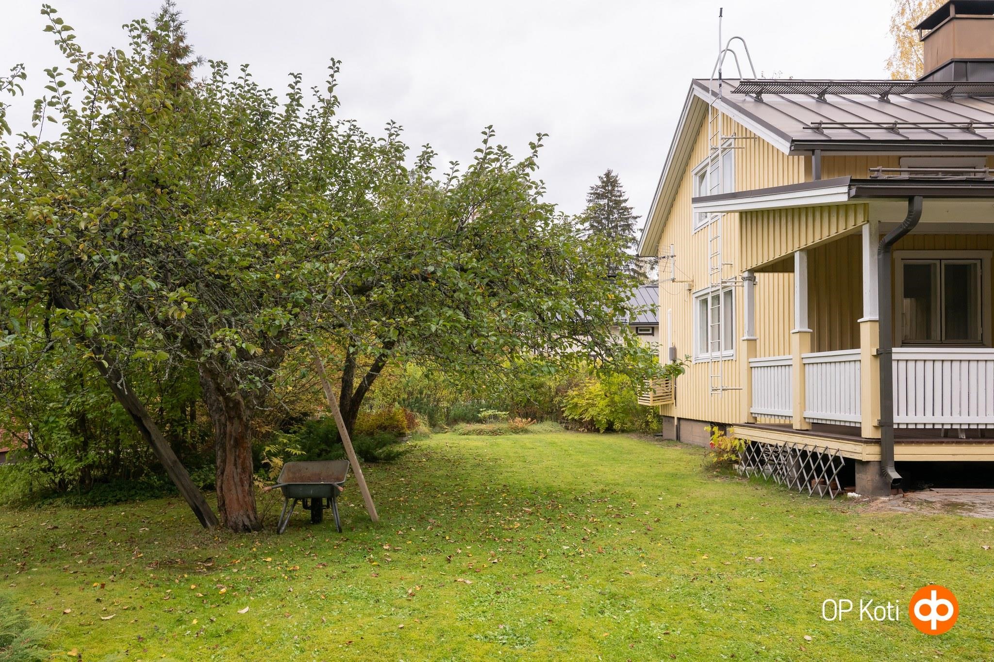 Kohdekuva 36