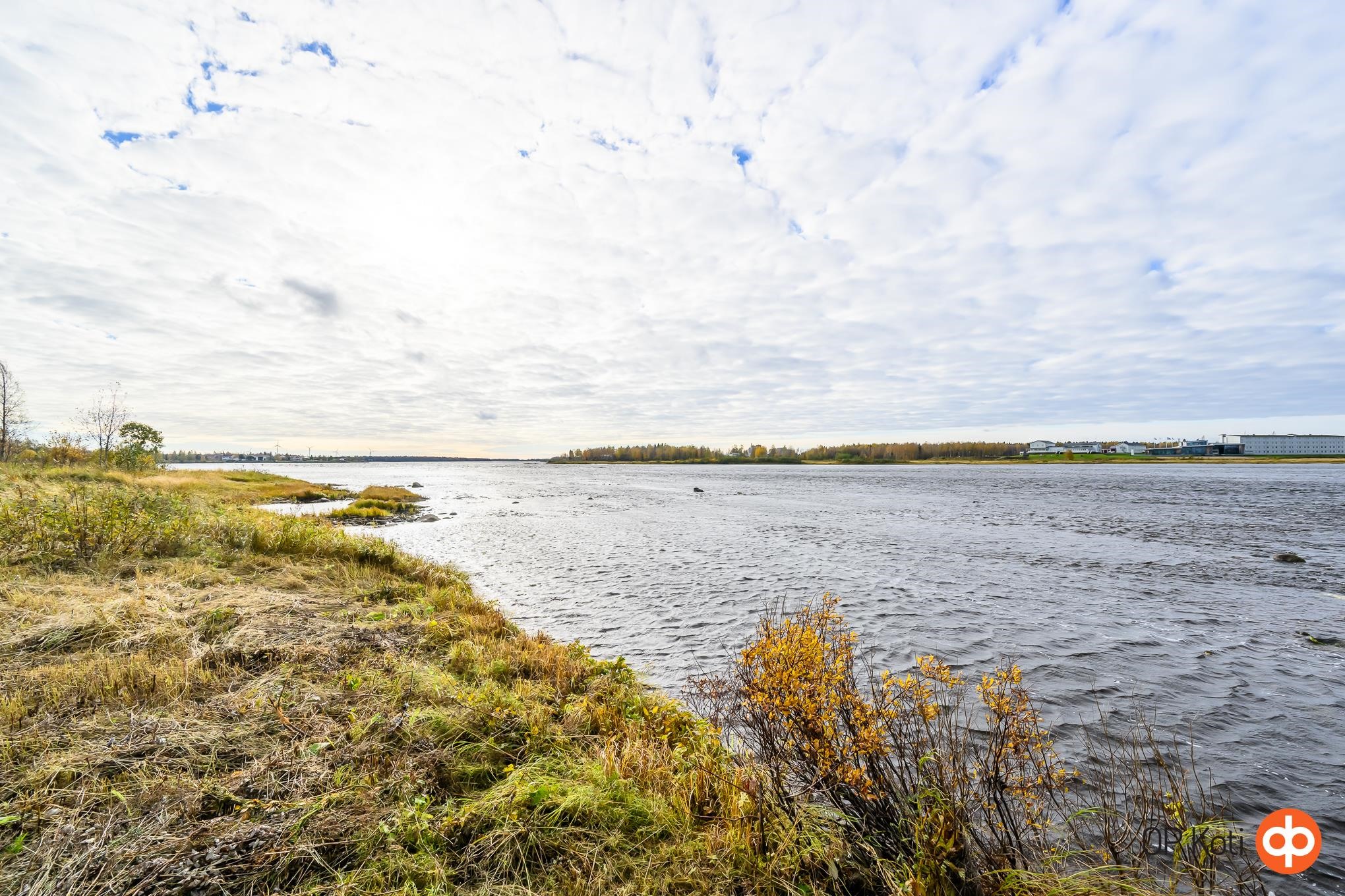 Kohdekuva 24