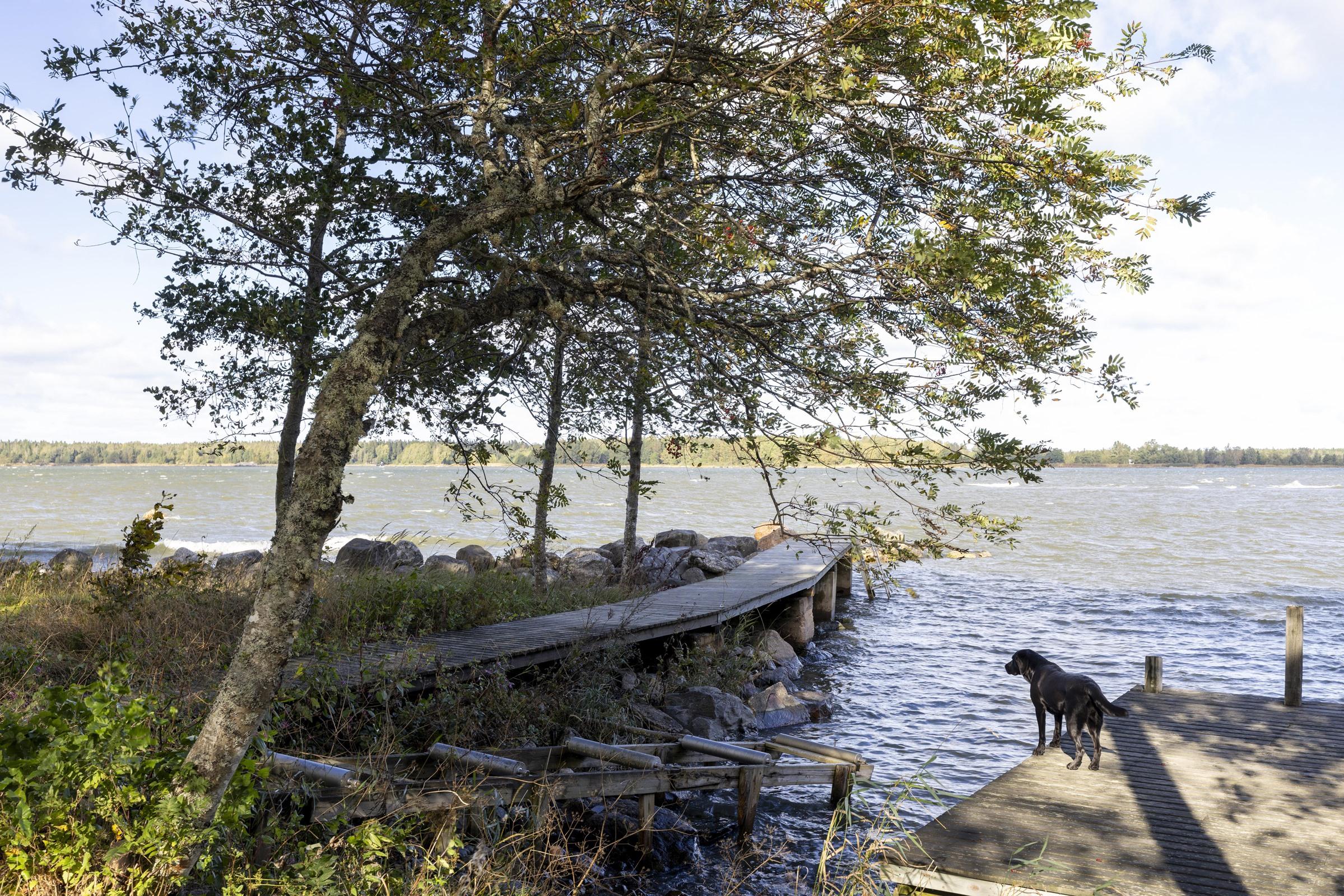 Kohdekuva 3