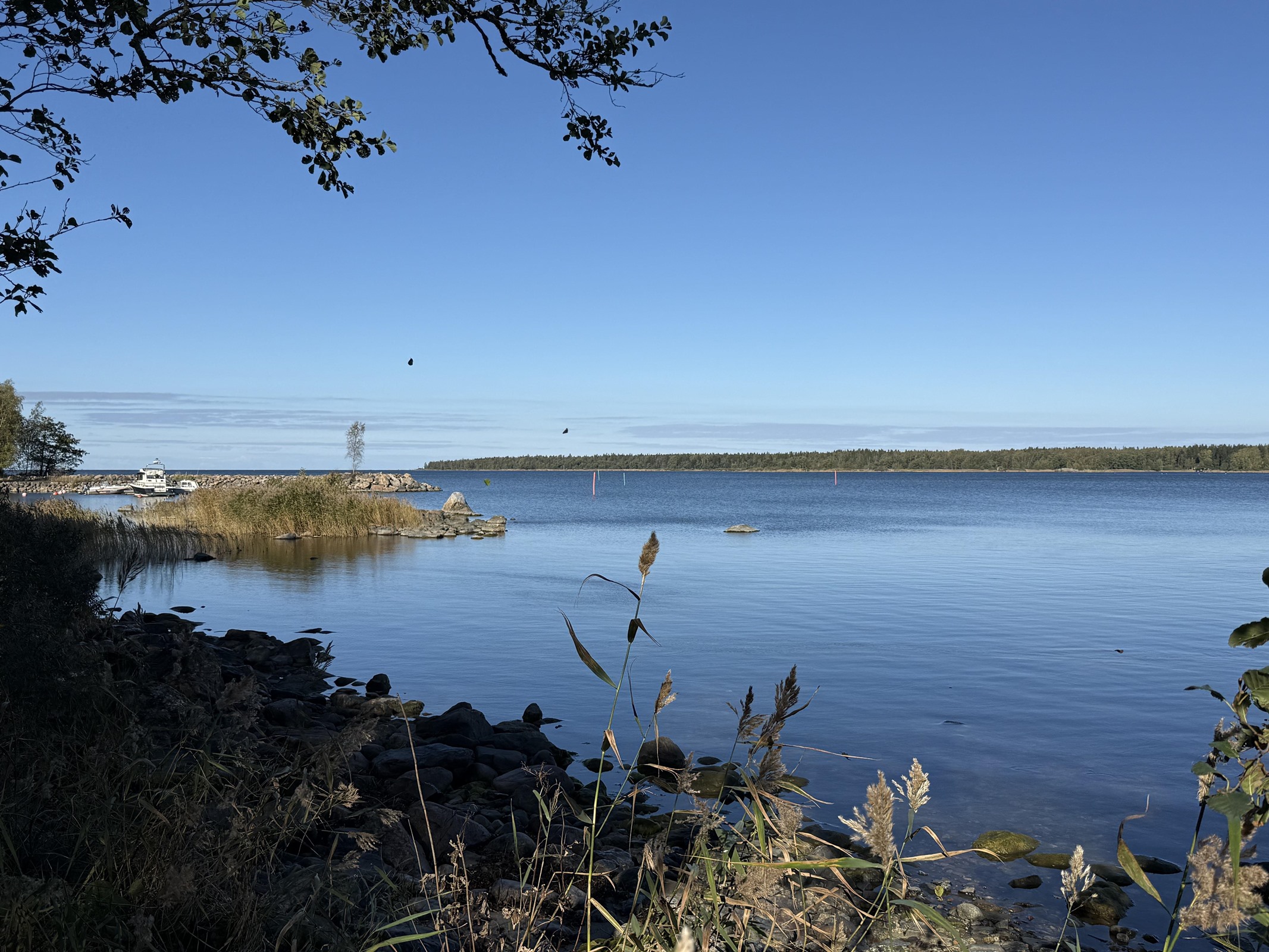 Kohdekuva 2