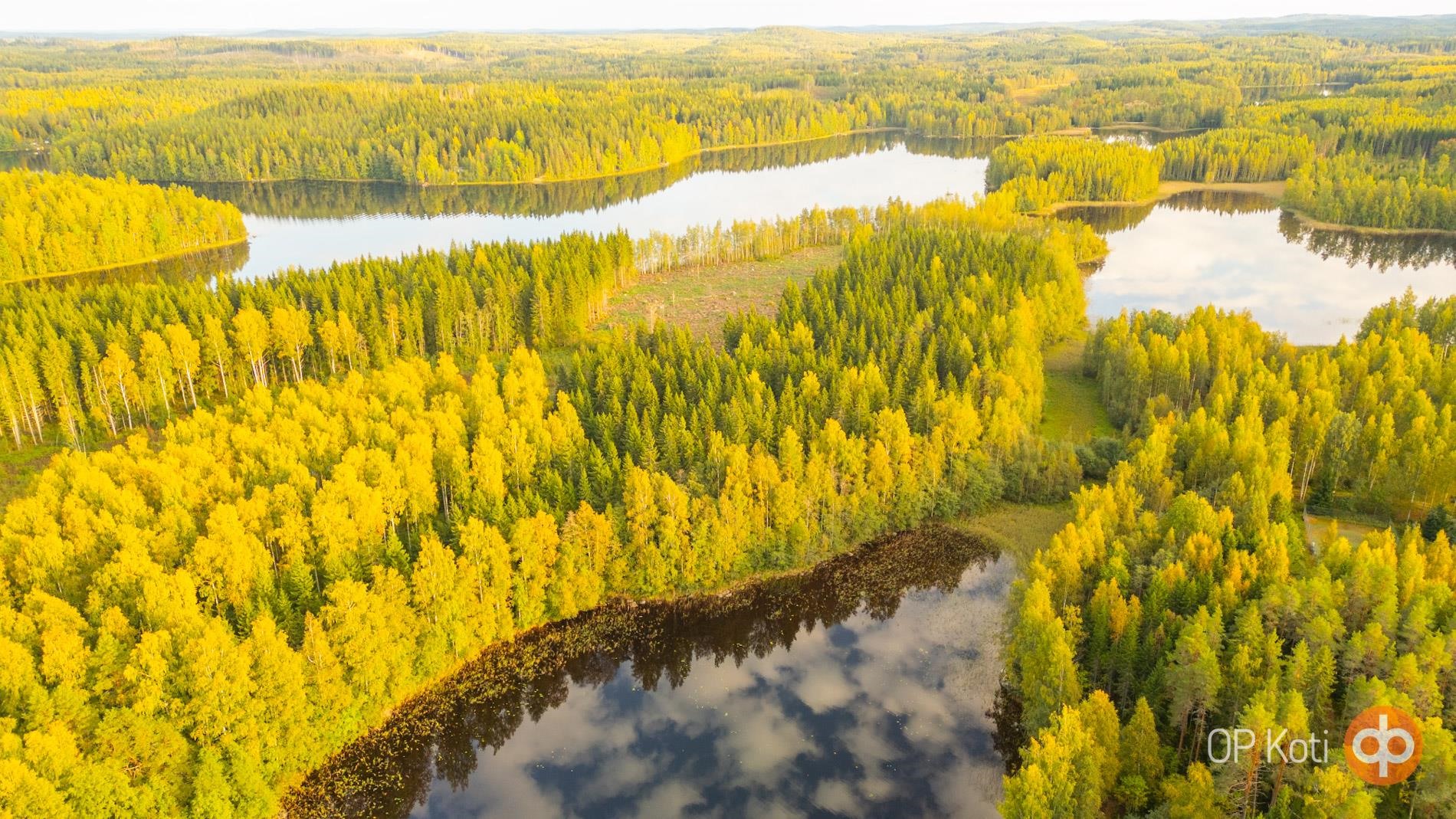 Kohdekuva 1