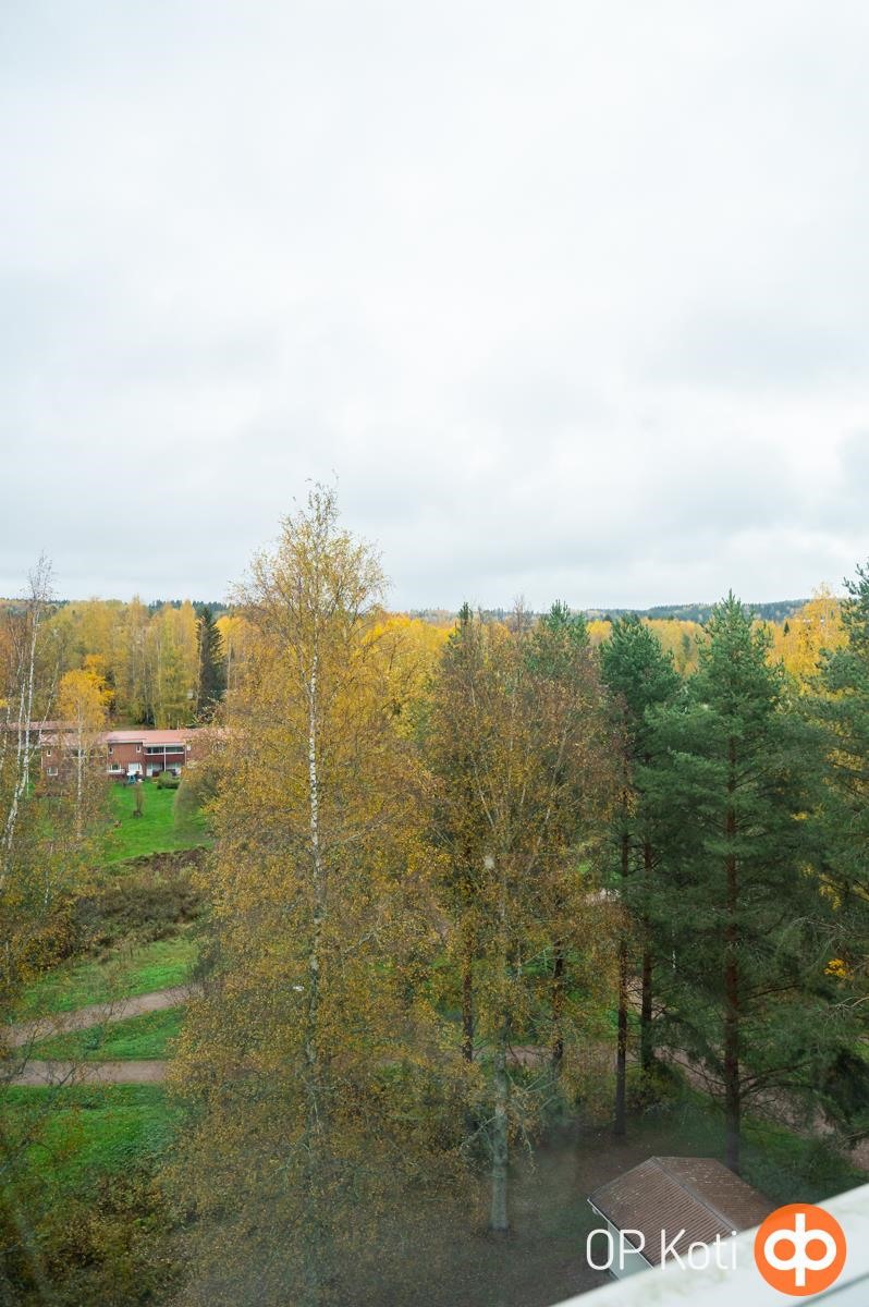 Kohdekuva 8