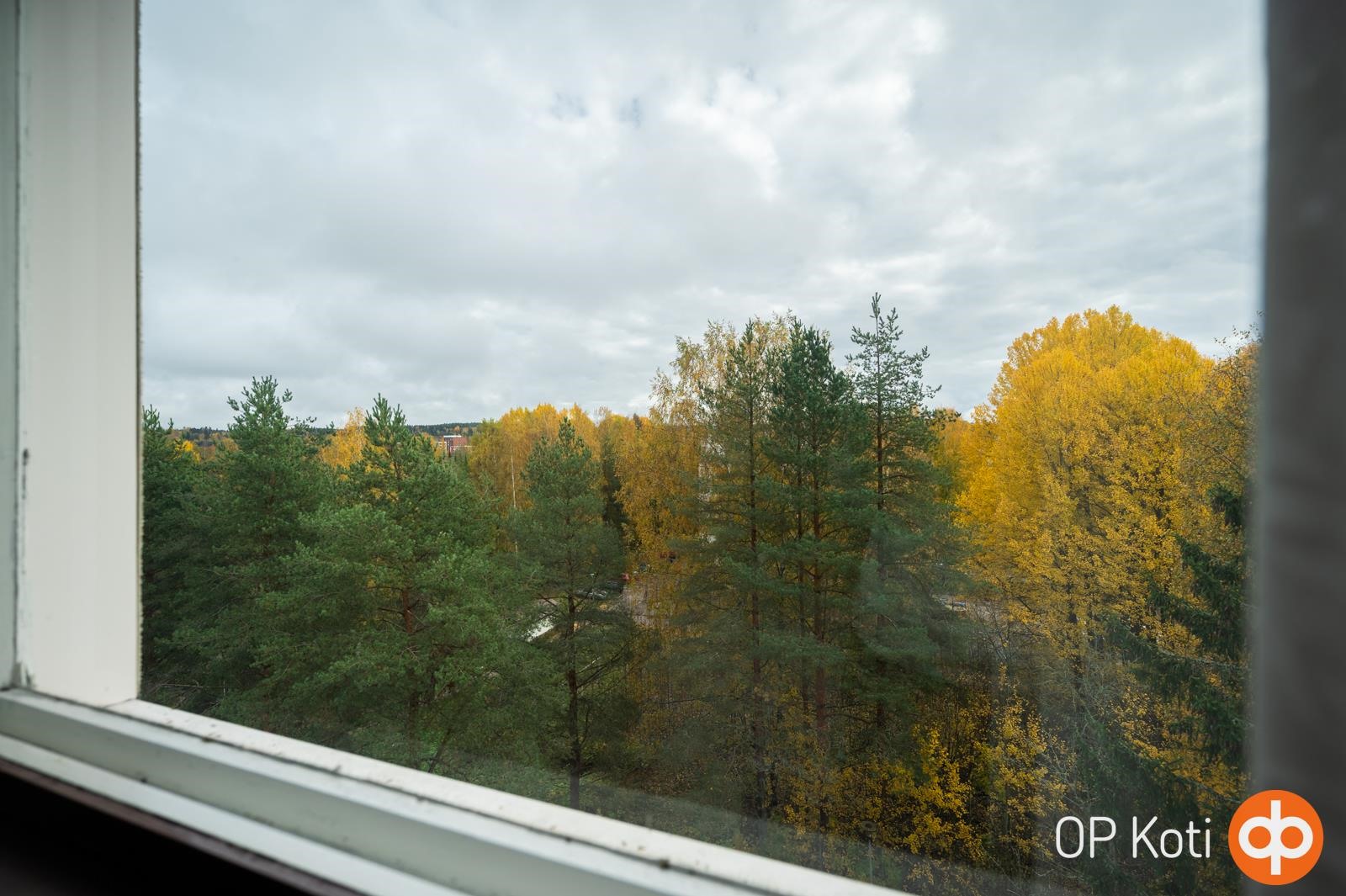 Kohdekuva 19