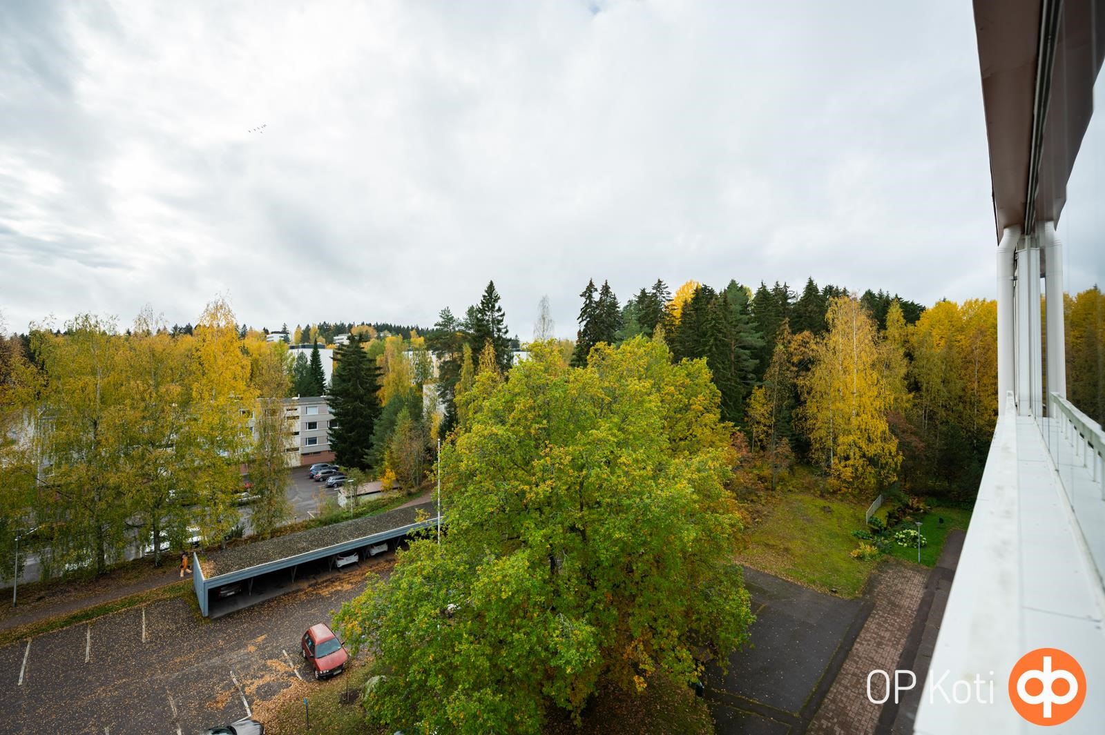 Kohdekuva 17
