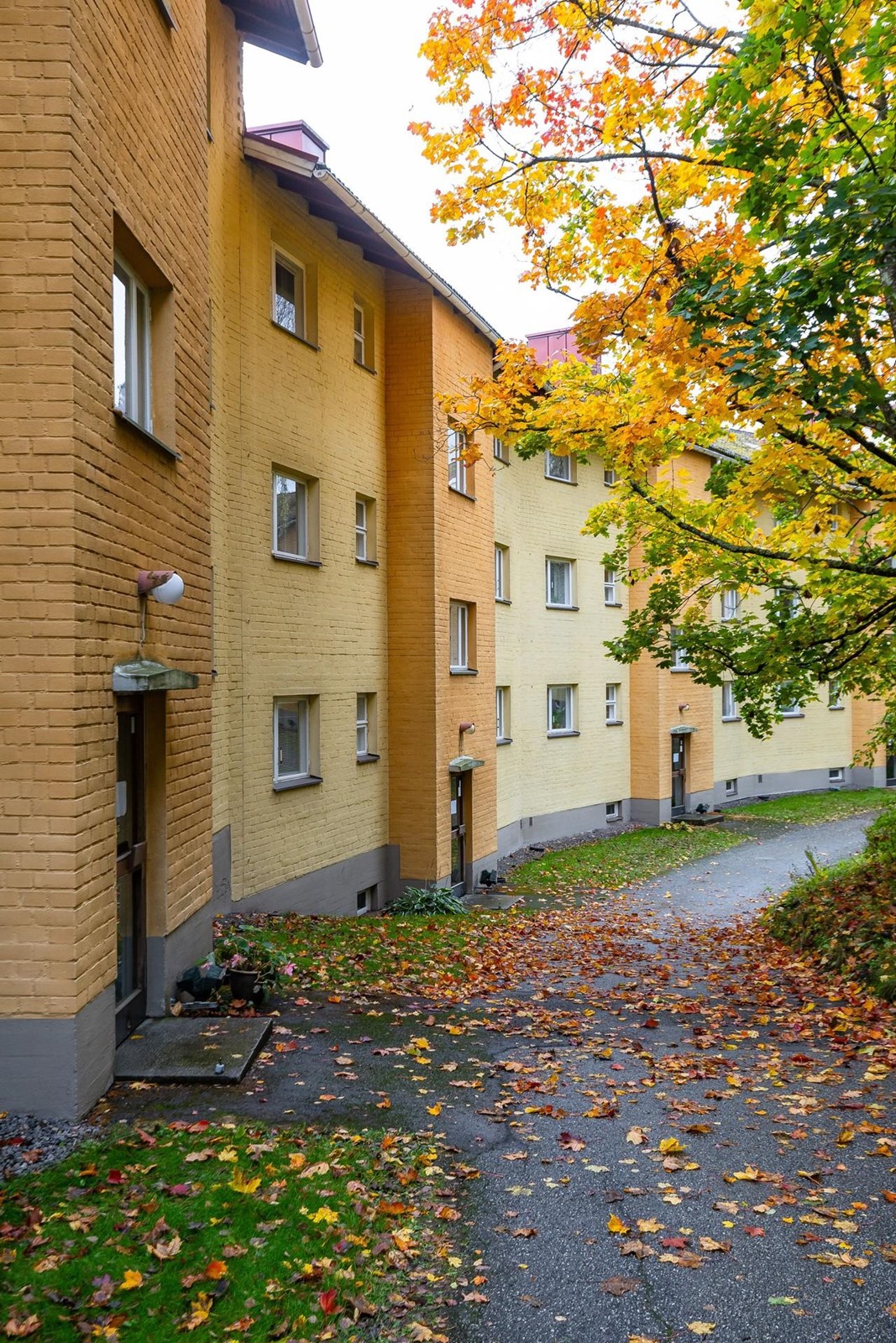 Kohdekuva 16
