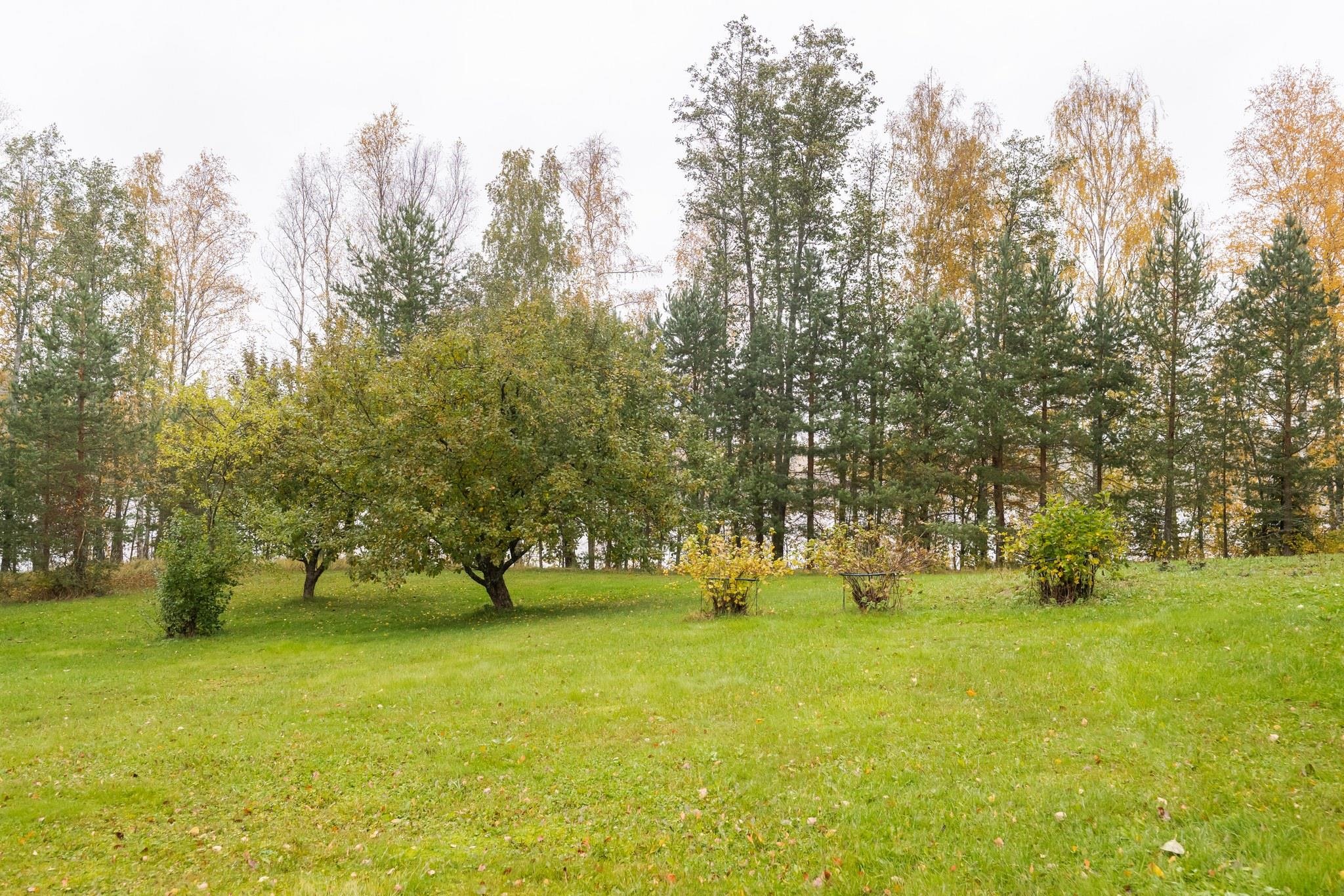 Kohdekuva 35