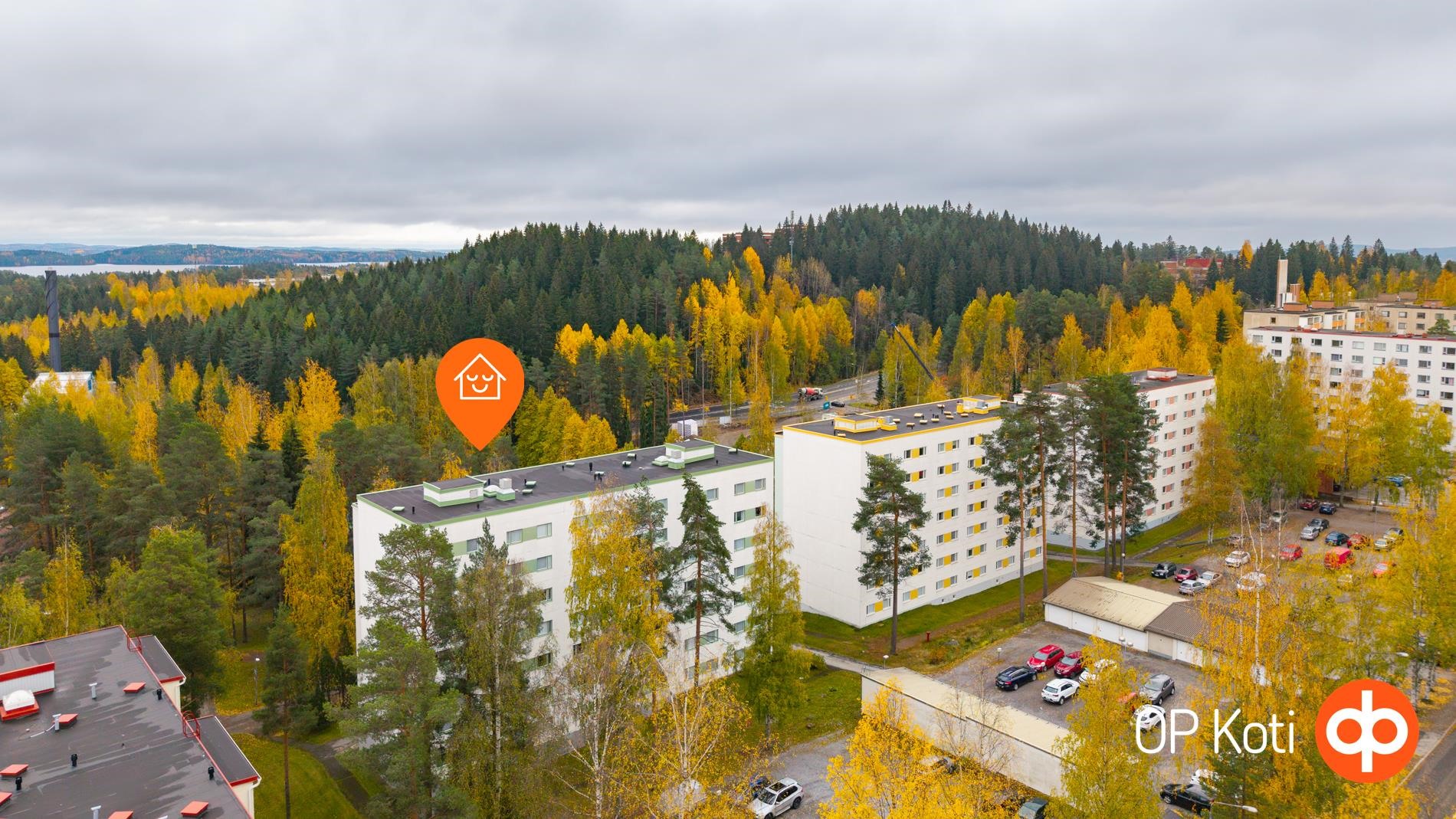 Kohdekuva 17