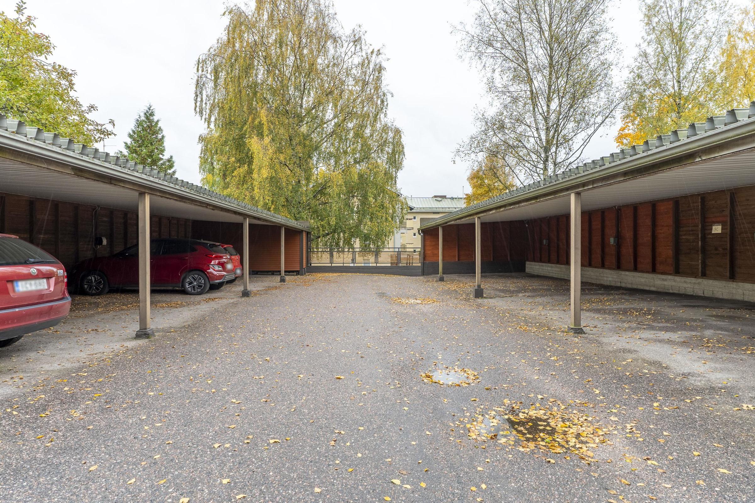 Kohdekuva 17