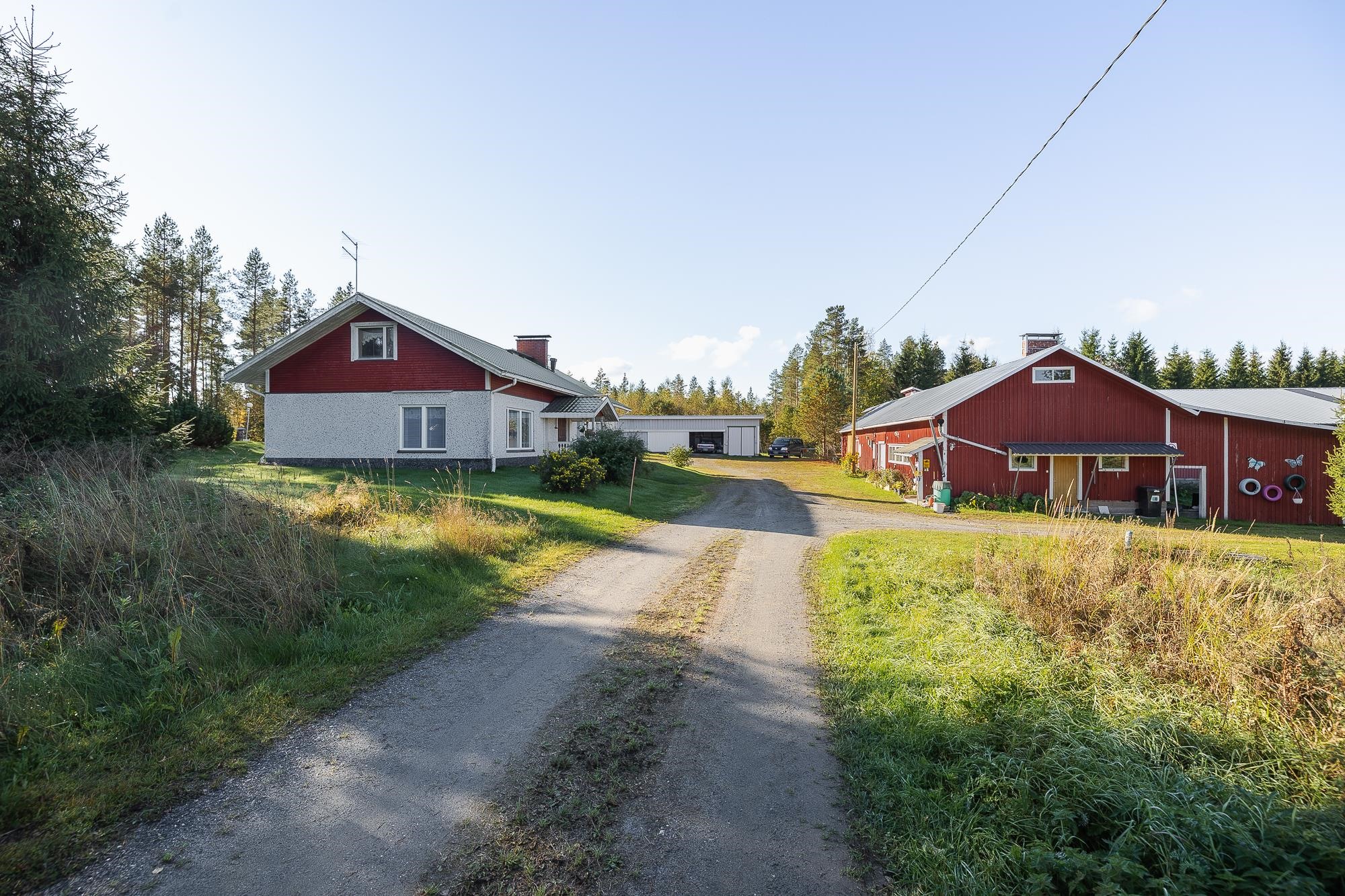 Kohdekuva 42