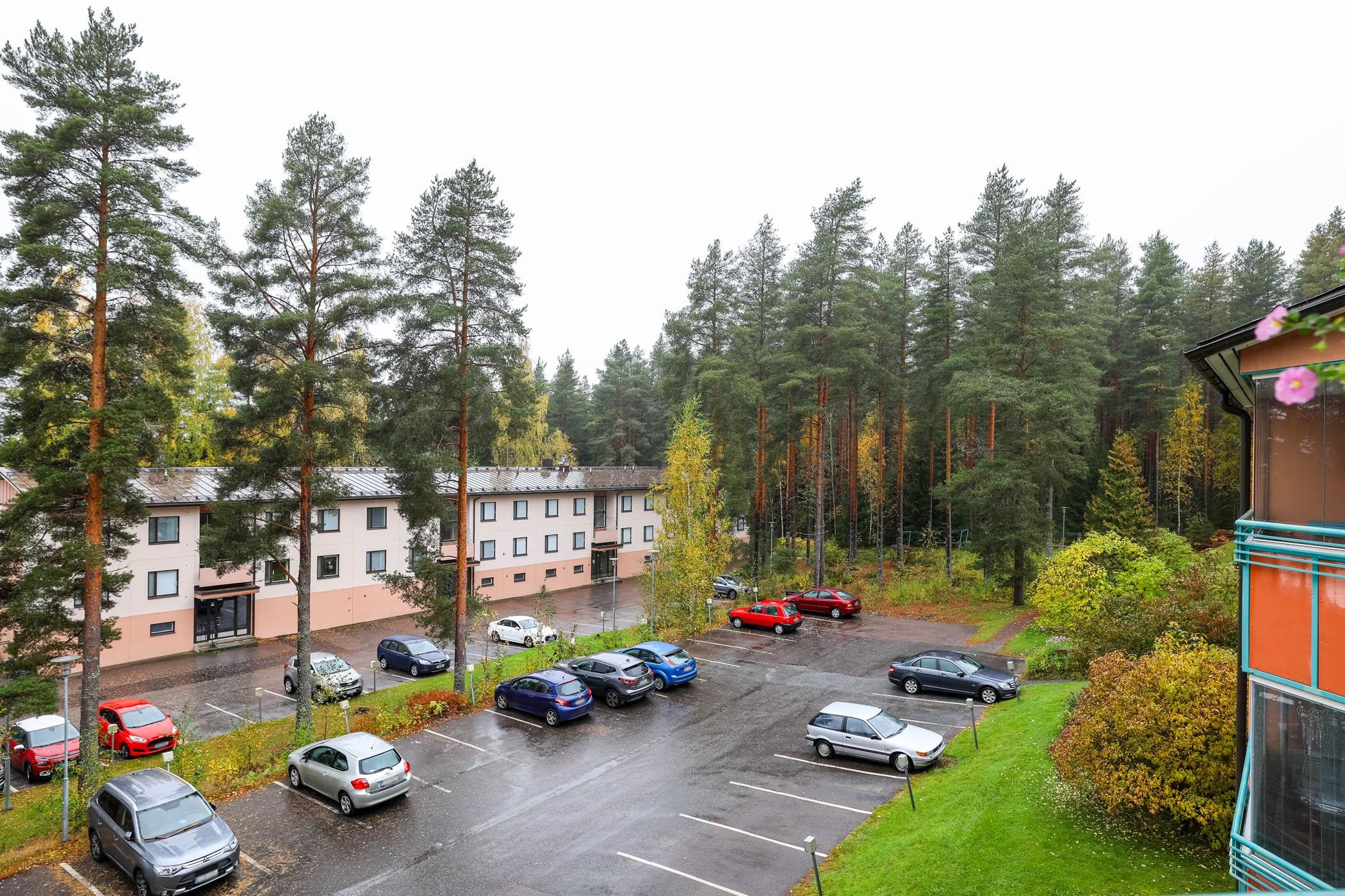 Kohdekuva 19
