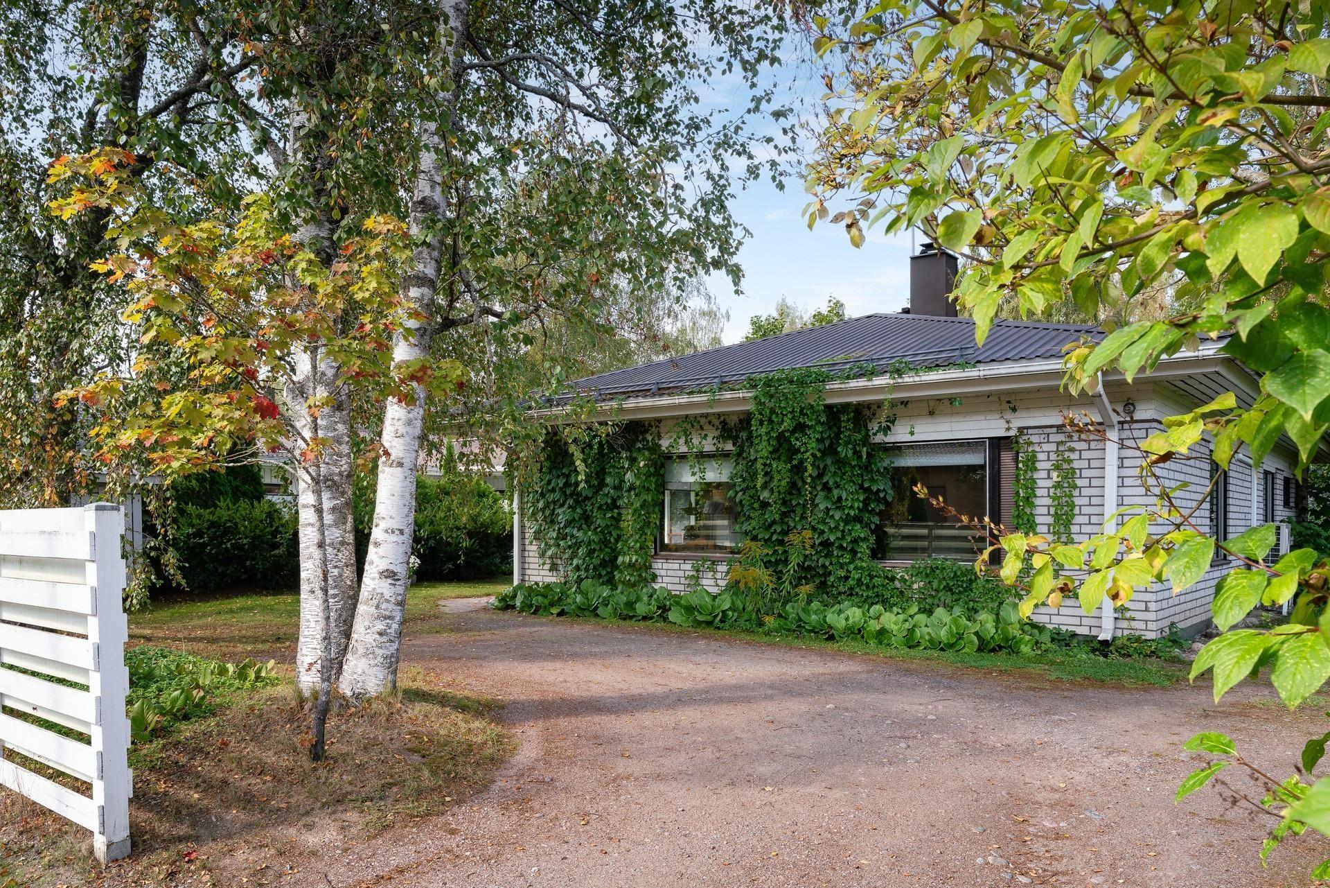 Kohdekuva 36