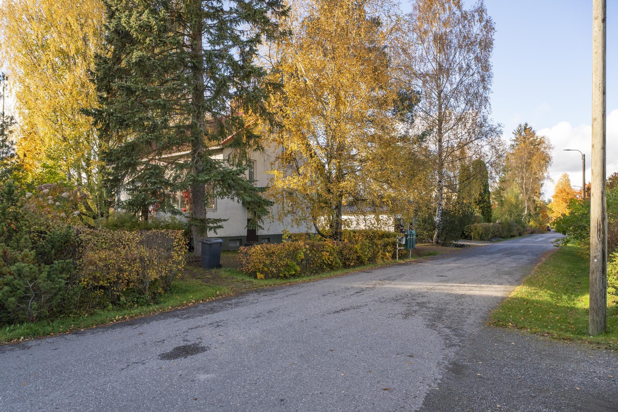 Kohdekuva 5