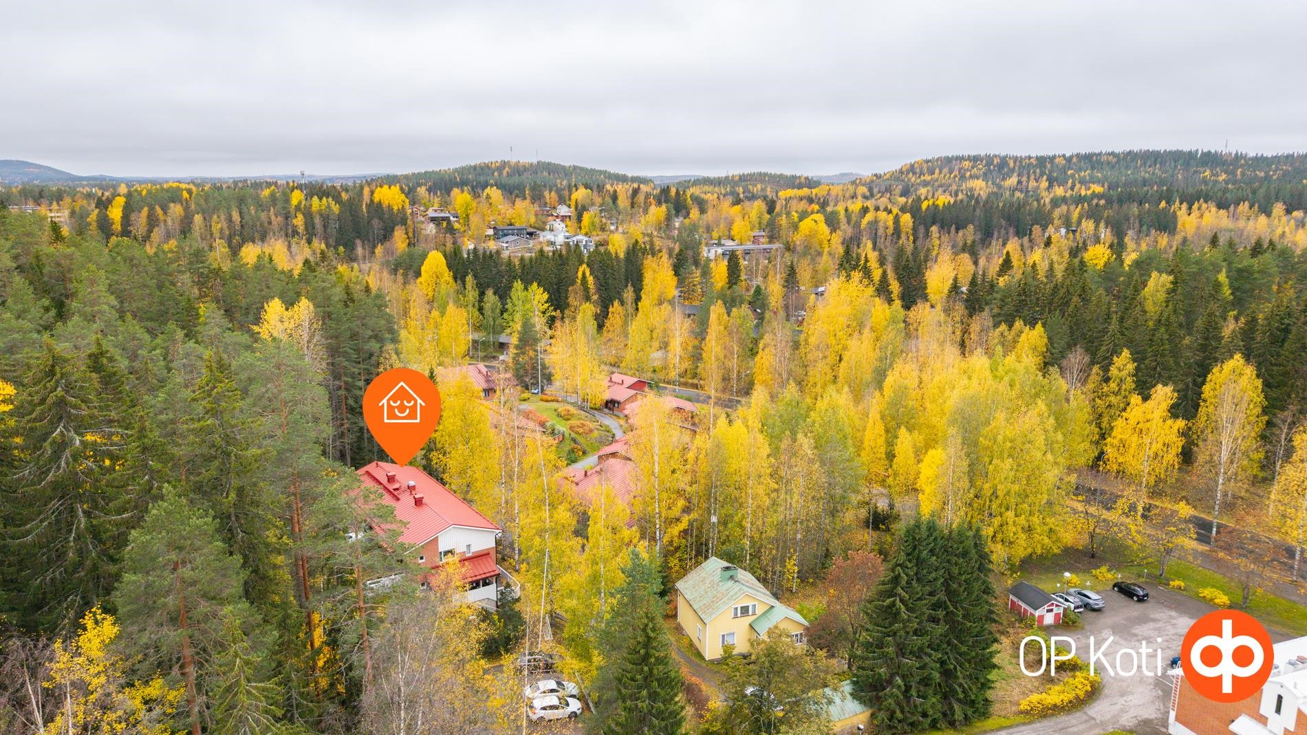 Kohdekuva 21