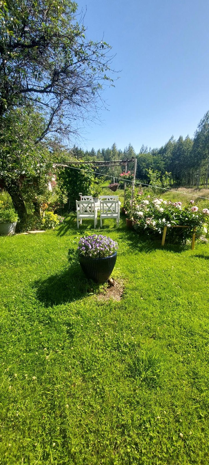 Kohdekuva 40