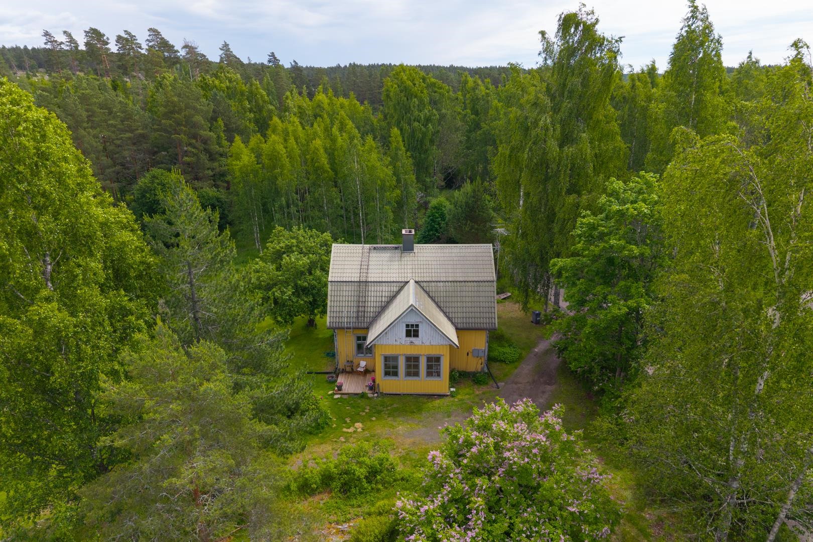 Kohdekuva 44