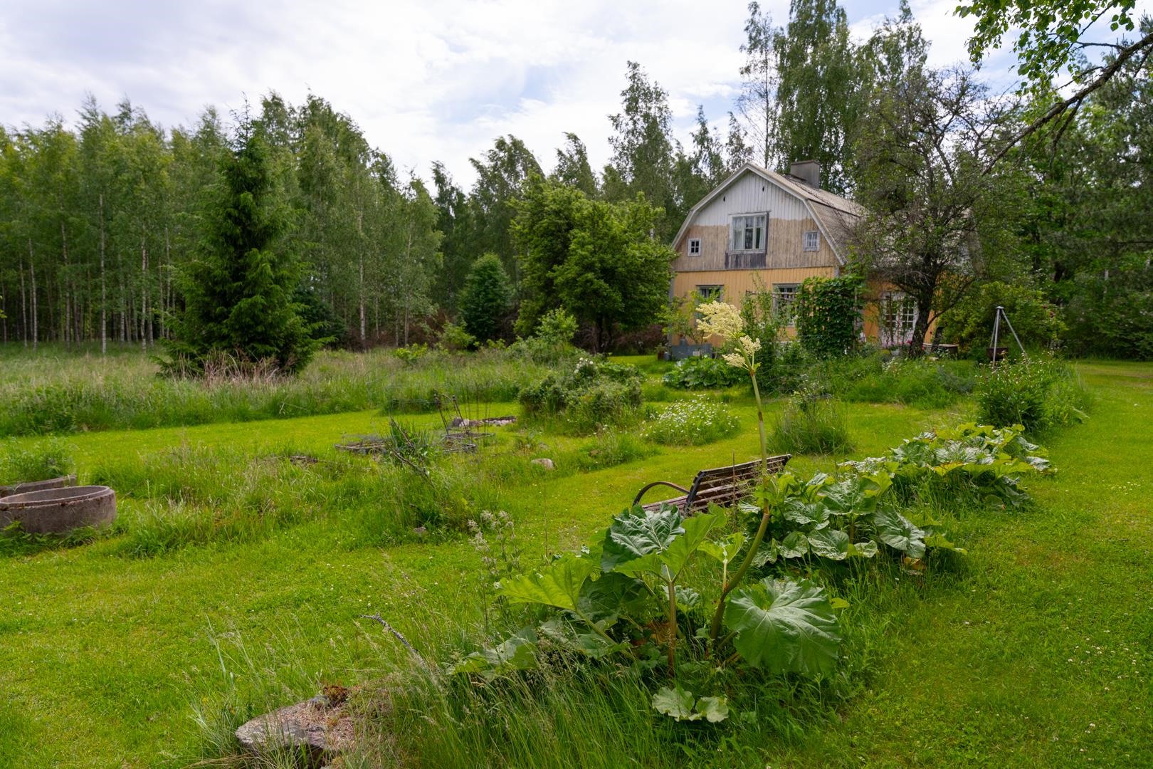 Kohdekuva 34