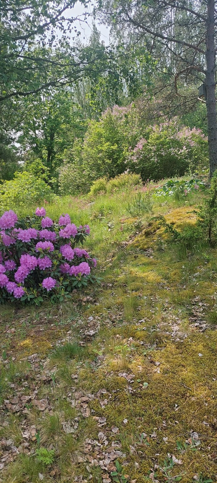 Kohdekuva 39