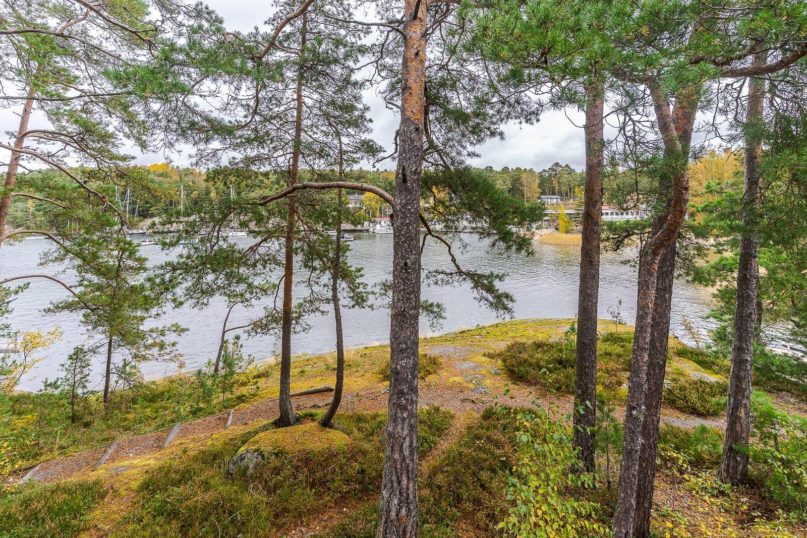 Kohdekuva 30