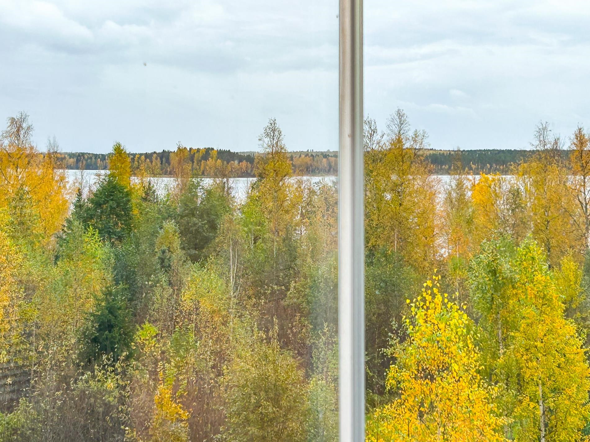 Kohdekuva 13