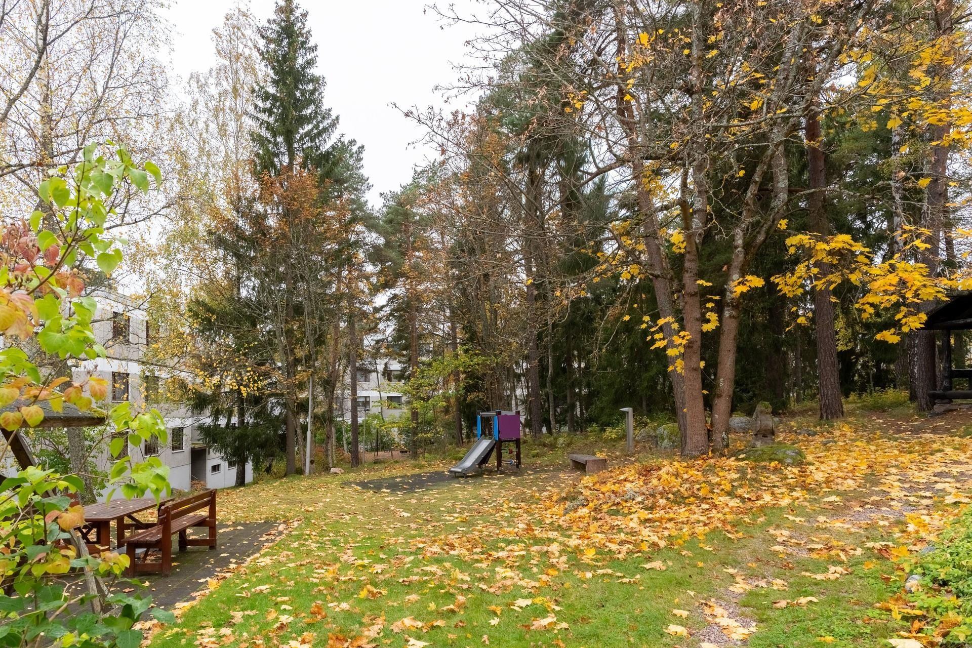 Kohdekuva 17