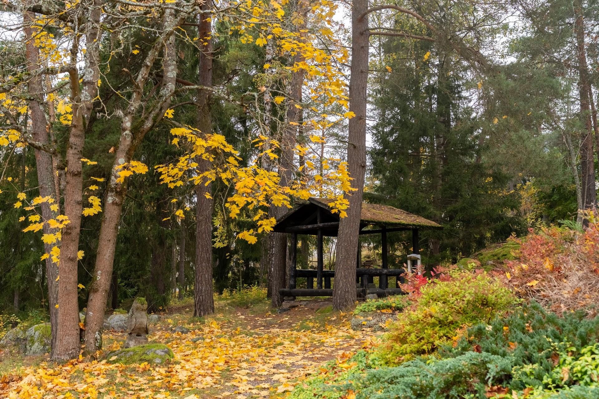 Kohdekuva 16