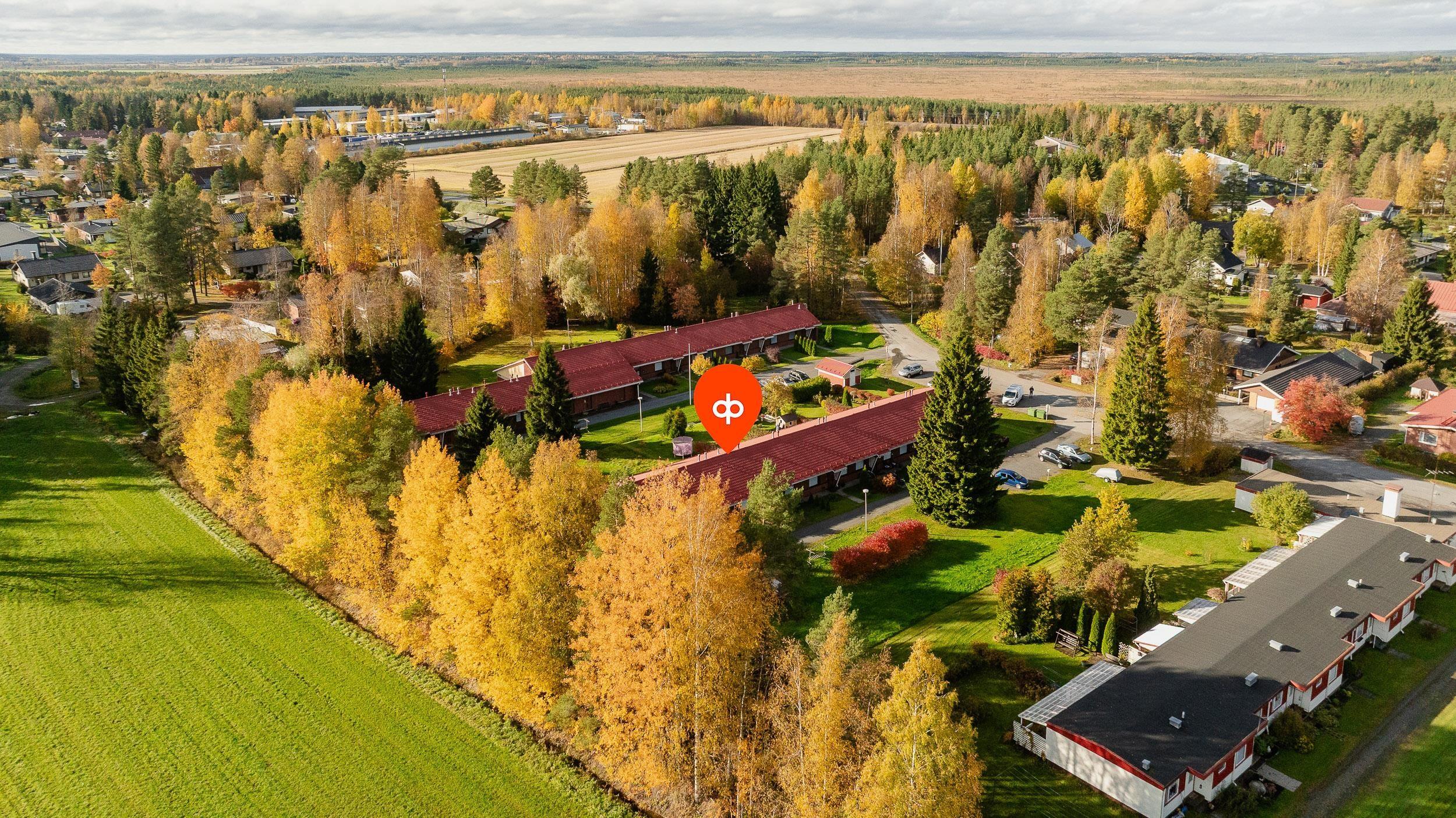 Kohdekuva 15