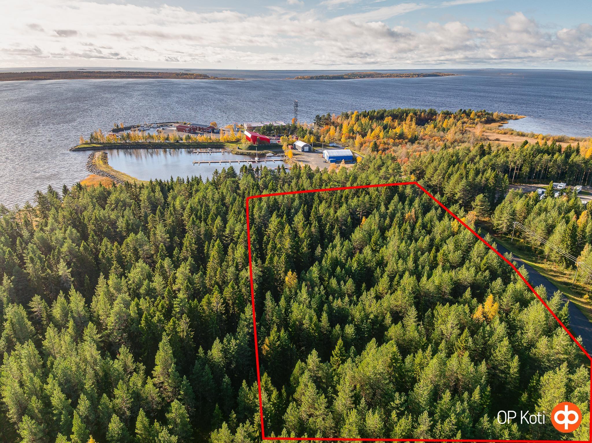 Kohdekuva 12