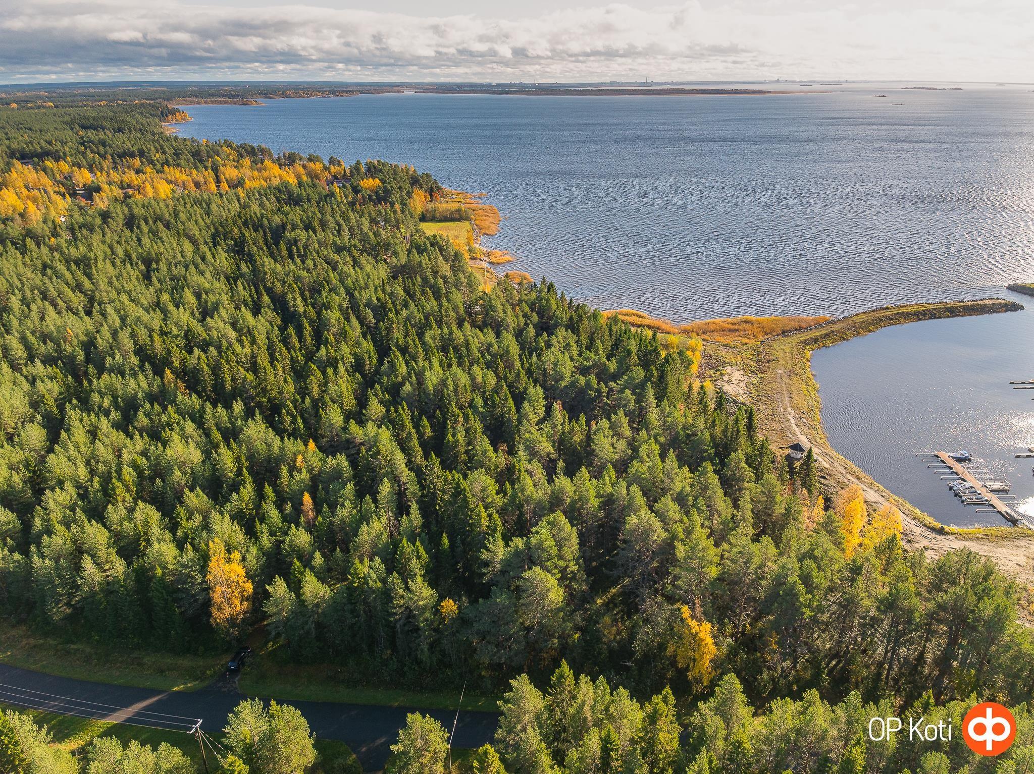 Kohdekuva 8