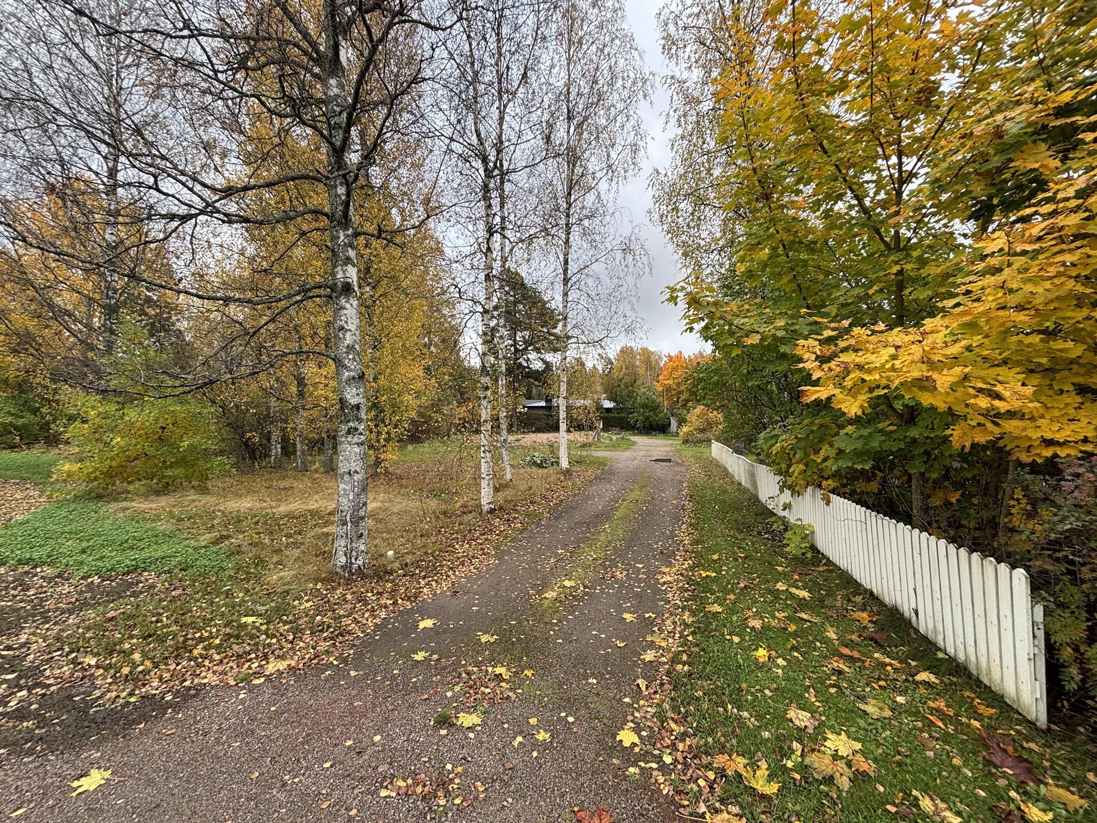 Kohdekuva 3