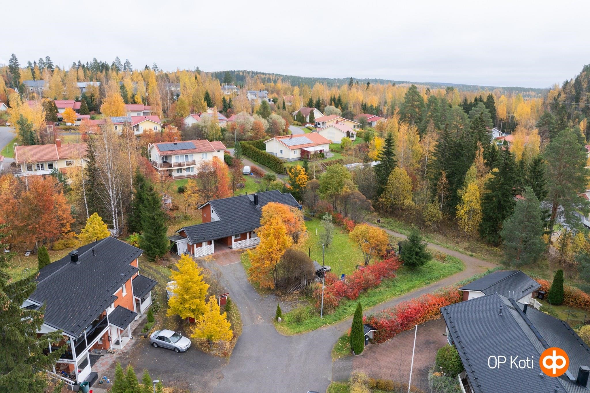 Kohdekuva 39