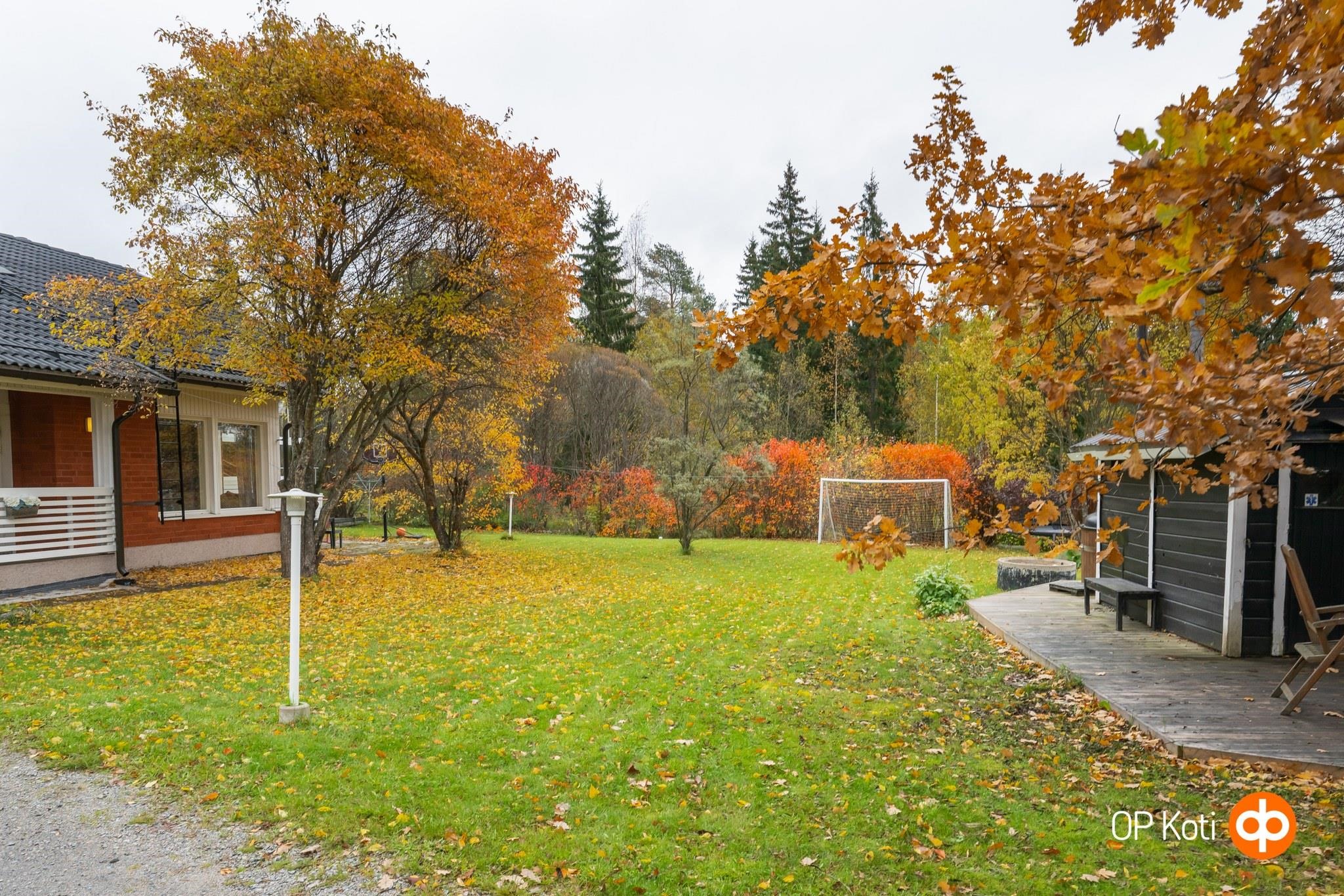 Kohdekuva 31