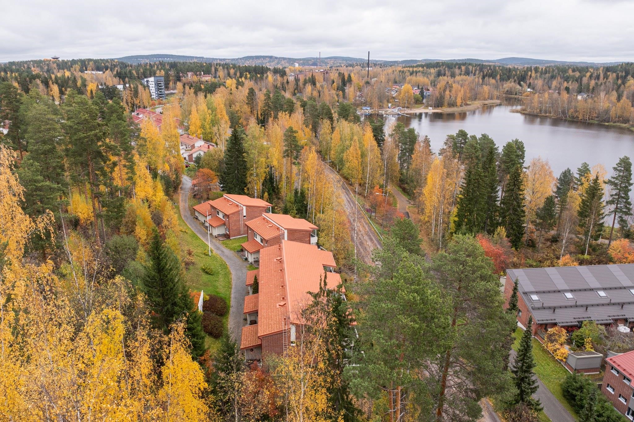 Kohdekuva 36