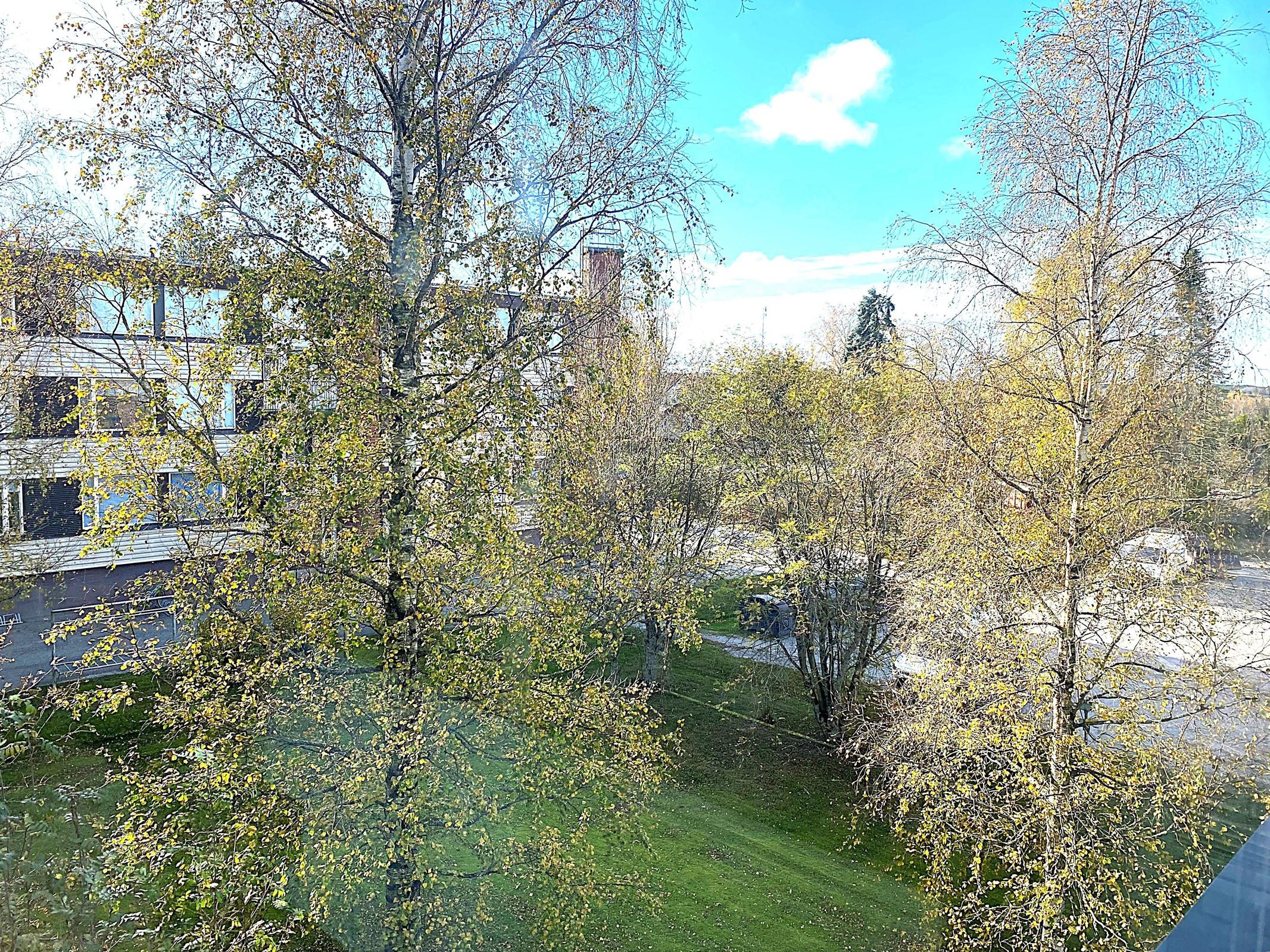 Kohdekuva 18