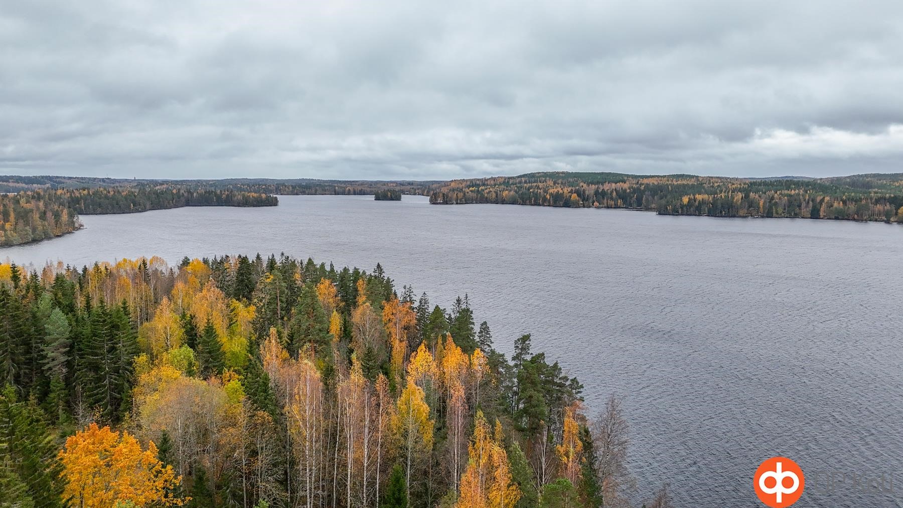 Kohdekuva 29